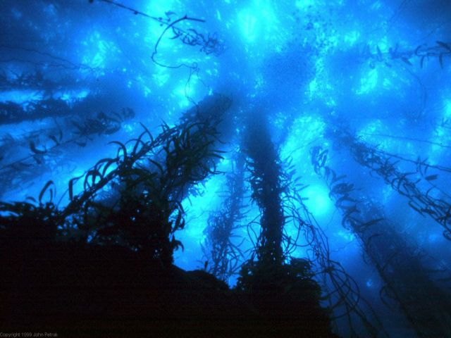 deep-sea-exploration.jpg