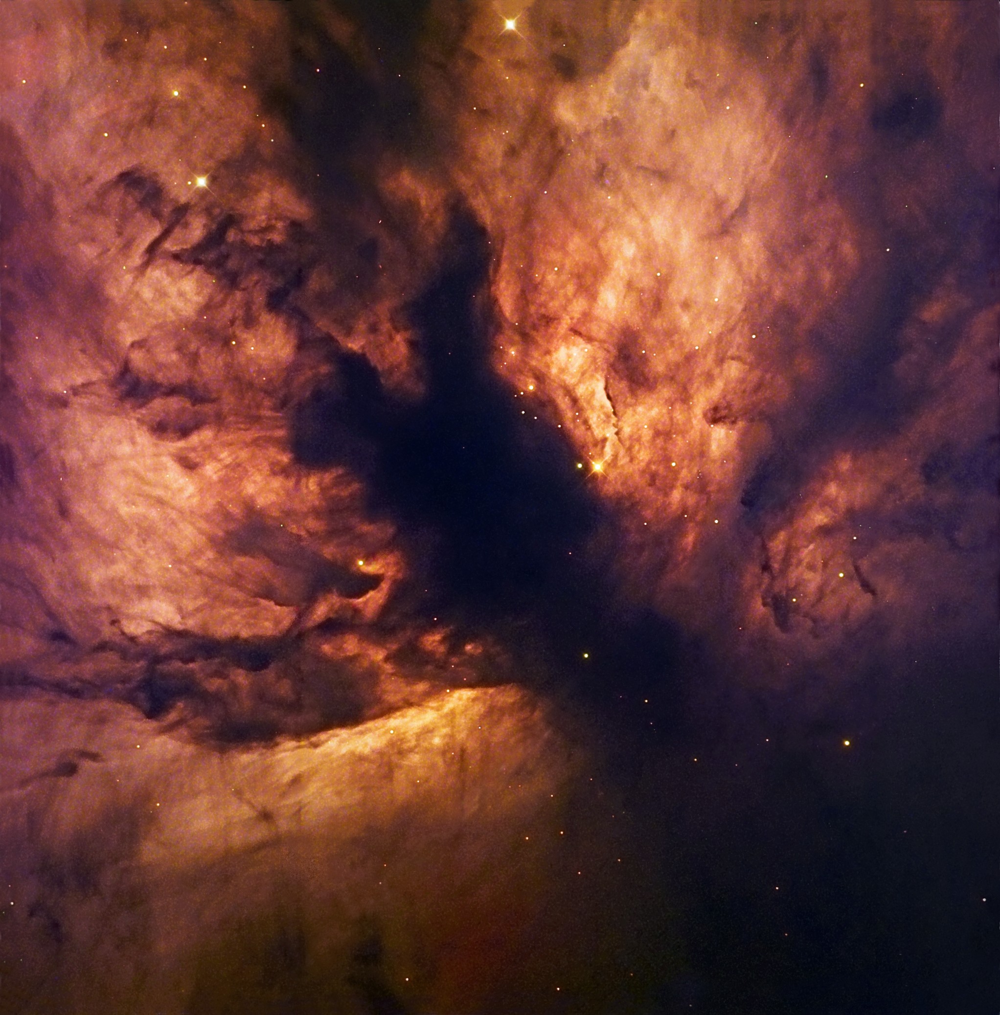 Flame_Nebula_NGC_2024.jpg