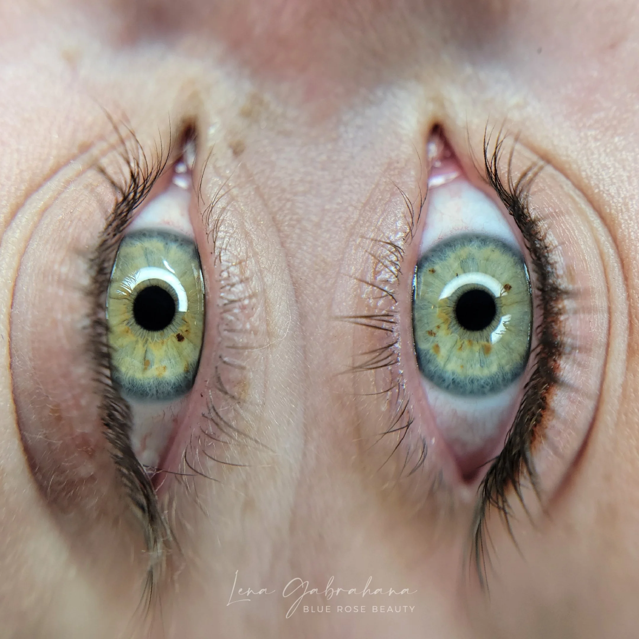 Blue Rose Little Rock PMU Lash Enhancement.jpg