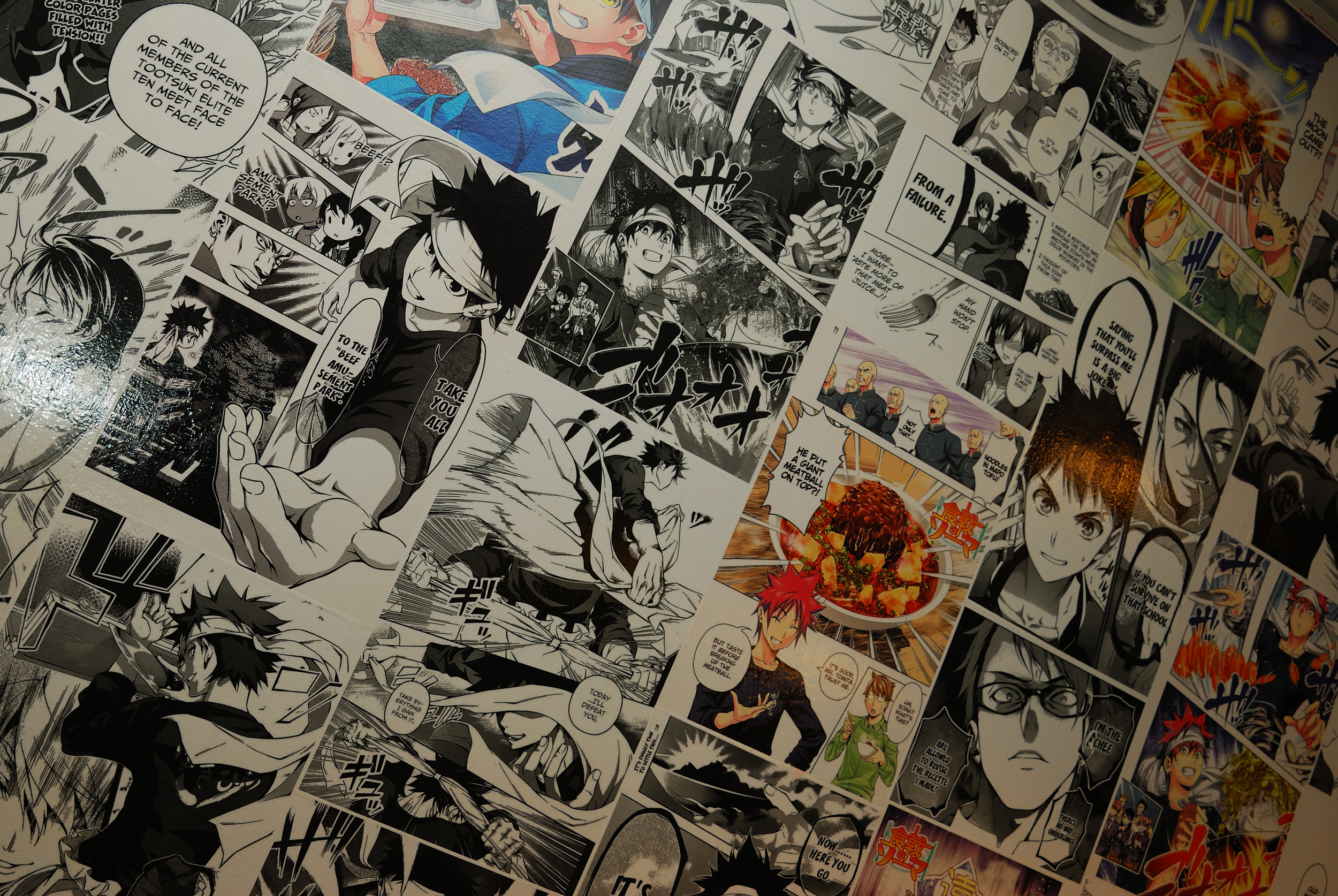 Manga Wall Close Up.JPG