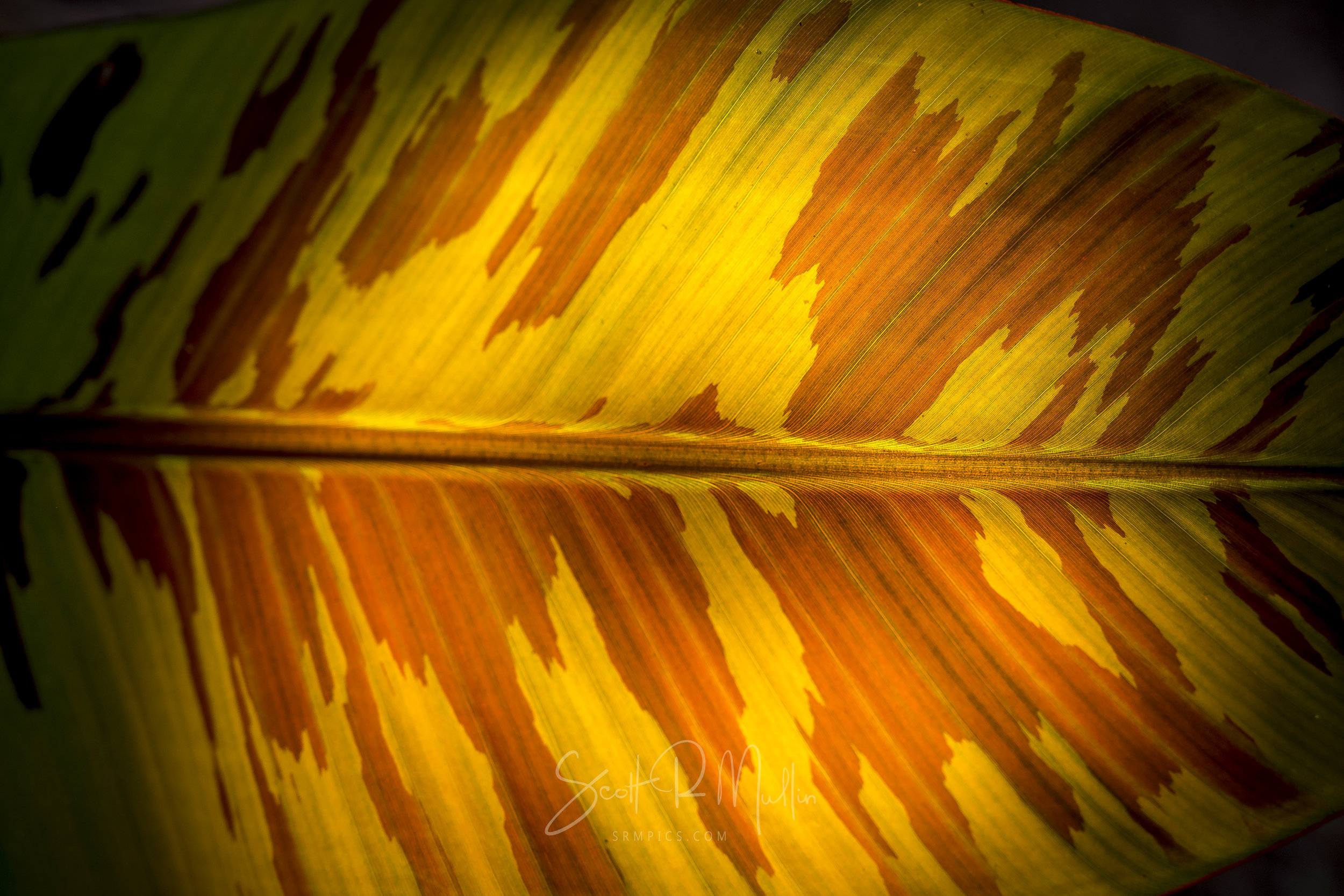 untitled-526.jpg