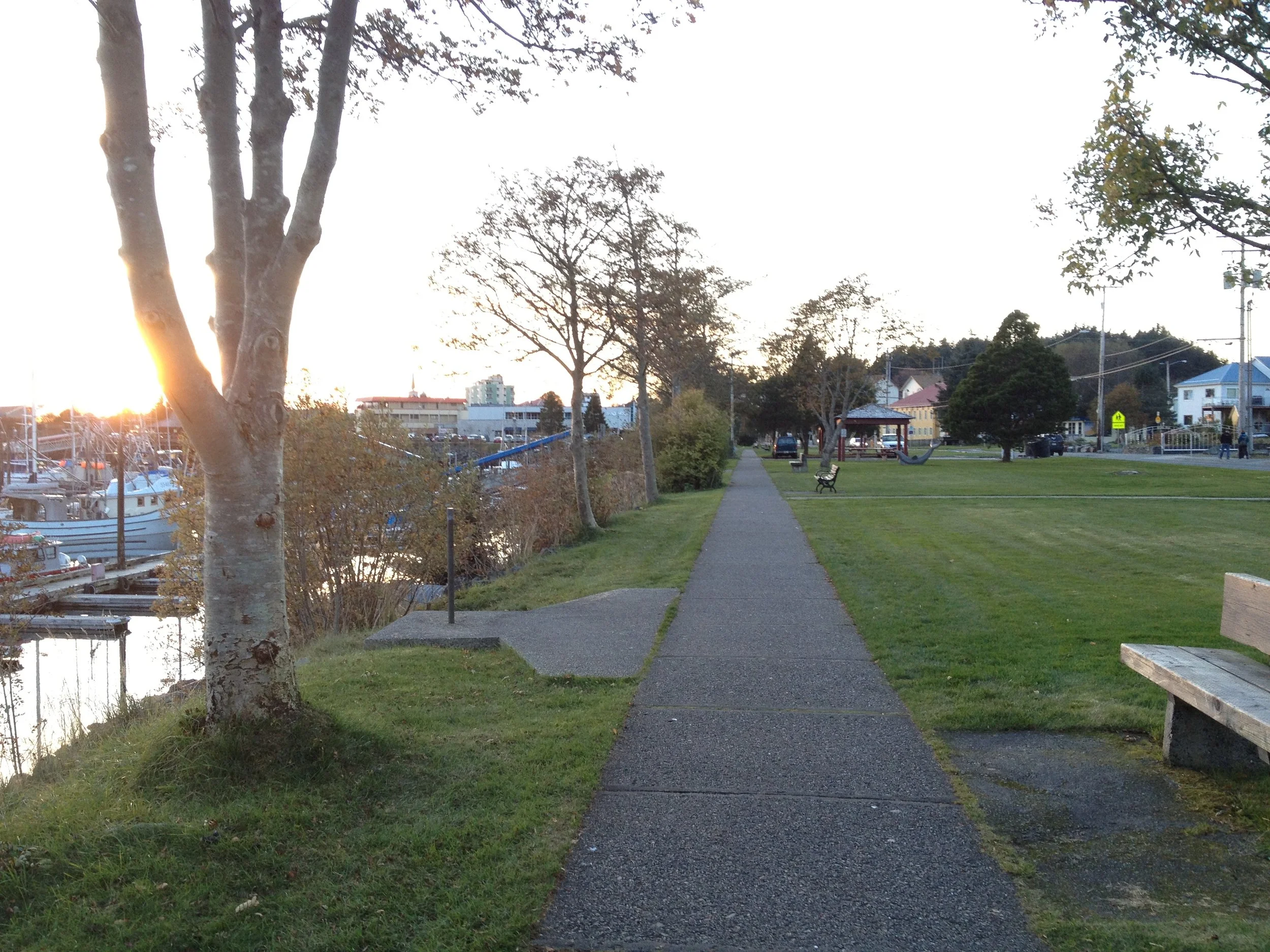 Vegetation around your harbor basin helps to slow rainwater and reduce pollution entering the water after storm events.