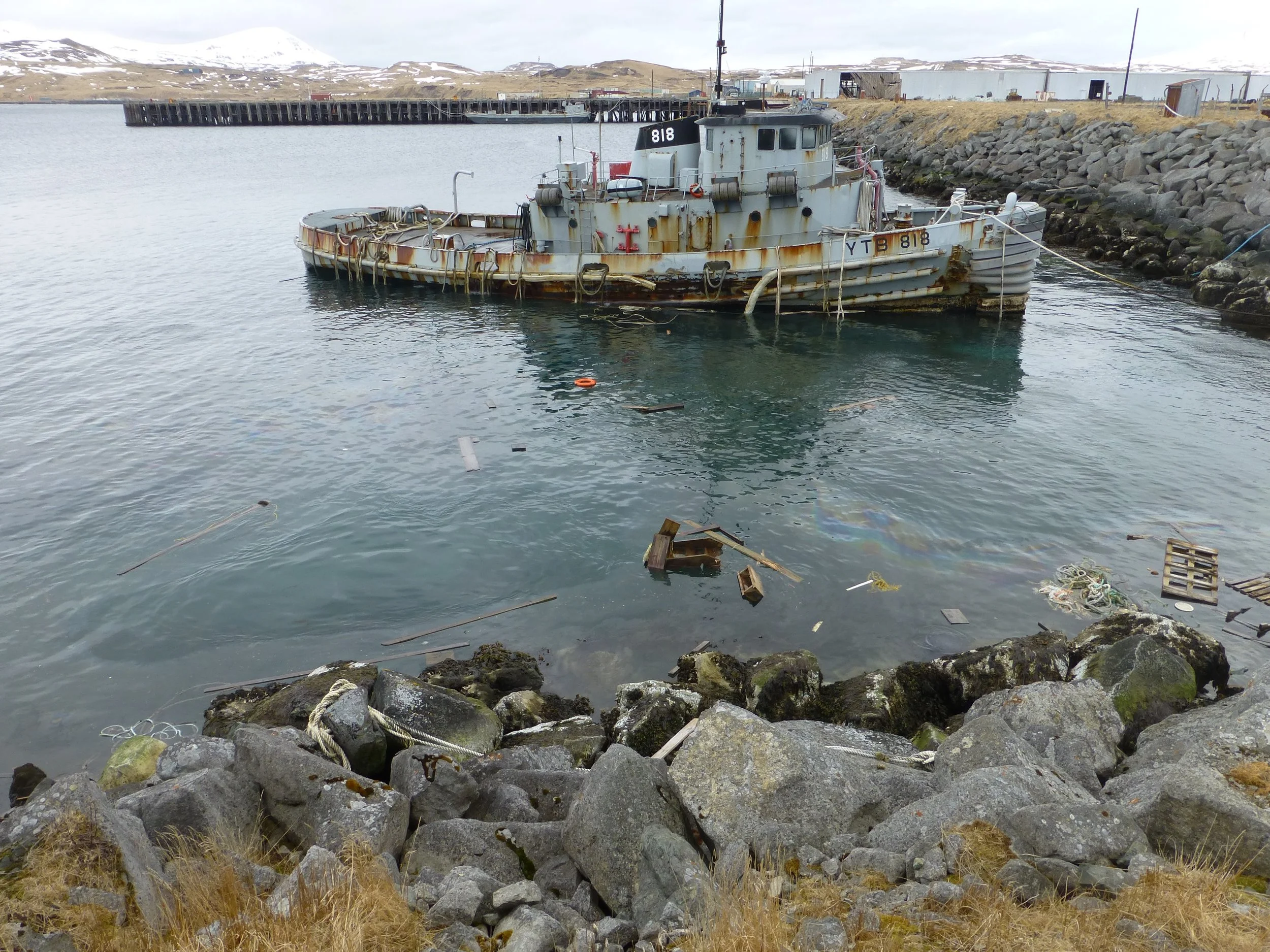 Adak, April 2016 Photo provided by ADNR