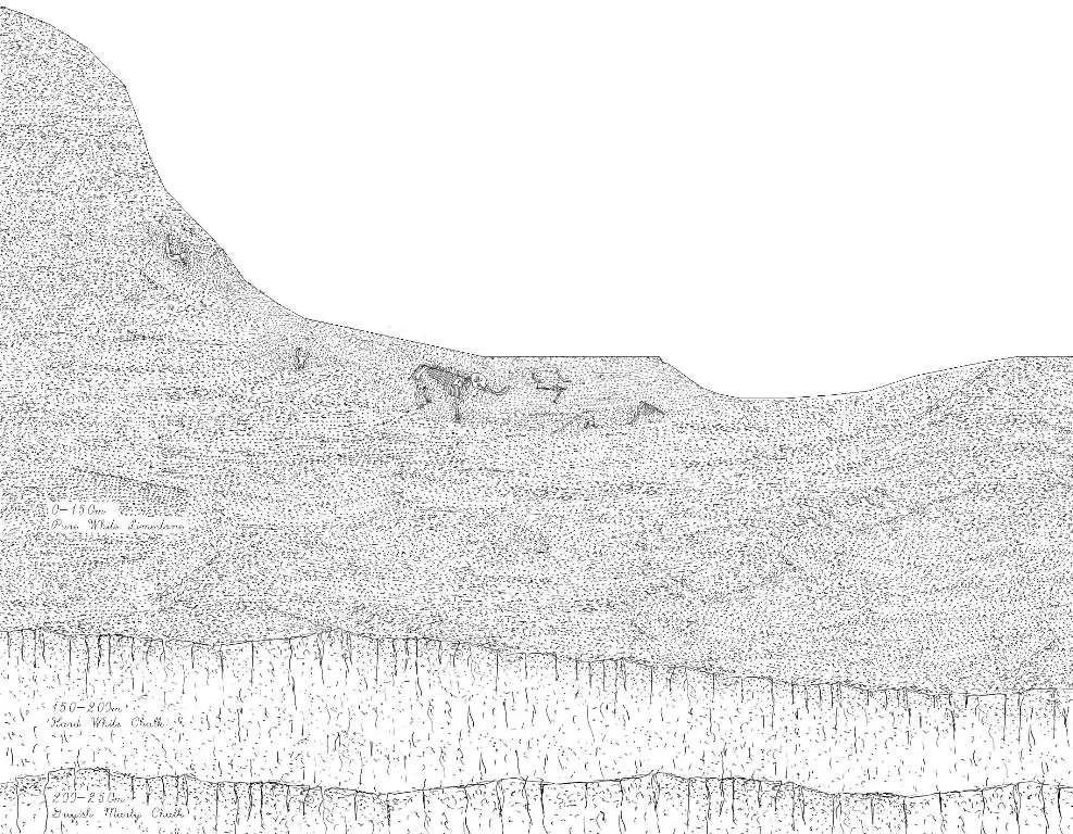 6. Section.jpg