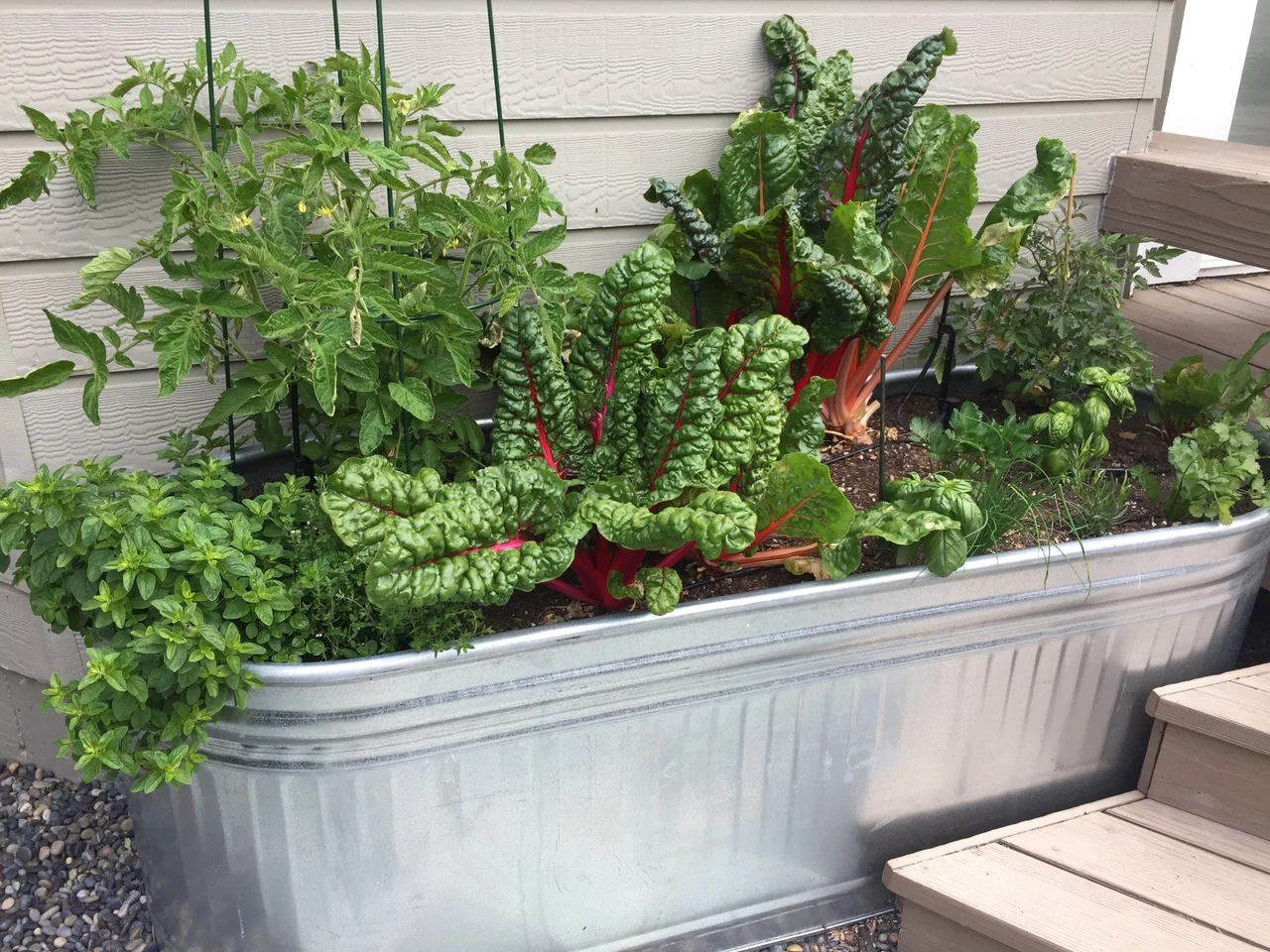 Detoxify Using Herbs From Your Own Herb Garden