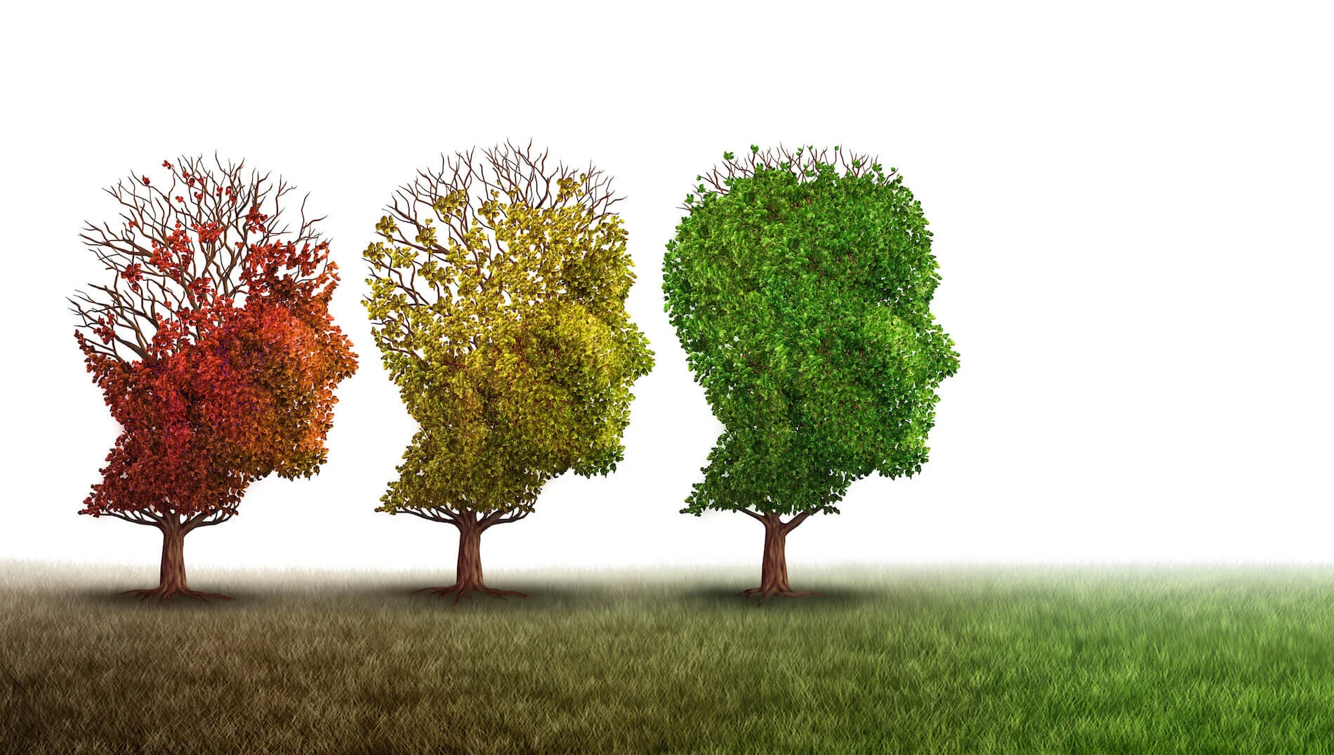 7 Steps to Clear Brain Fog and Roll Back Dementia Risk