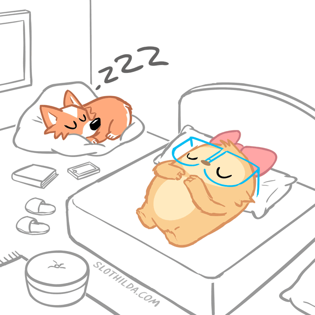 Snore_website.gif