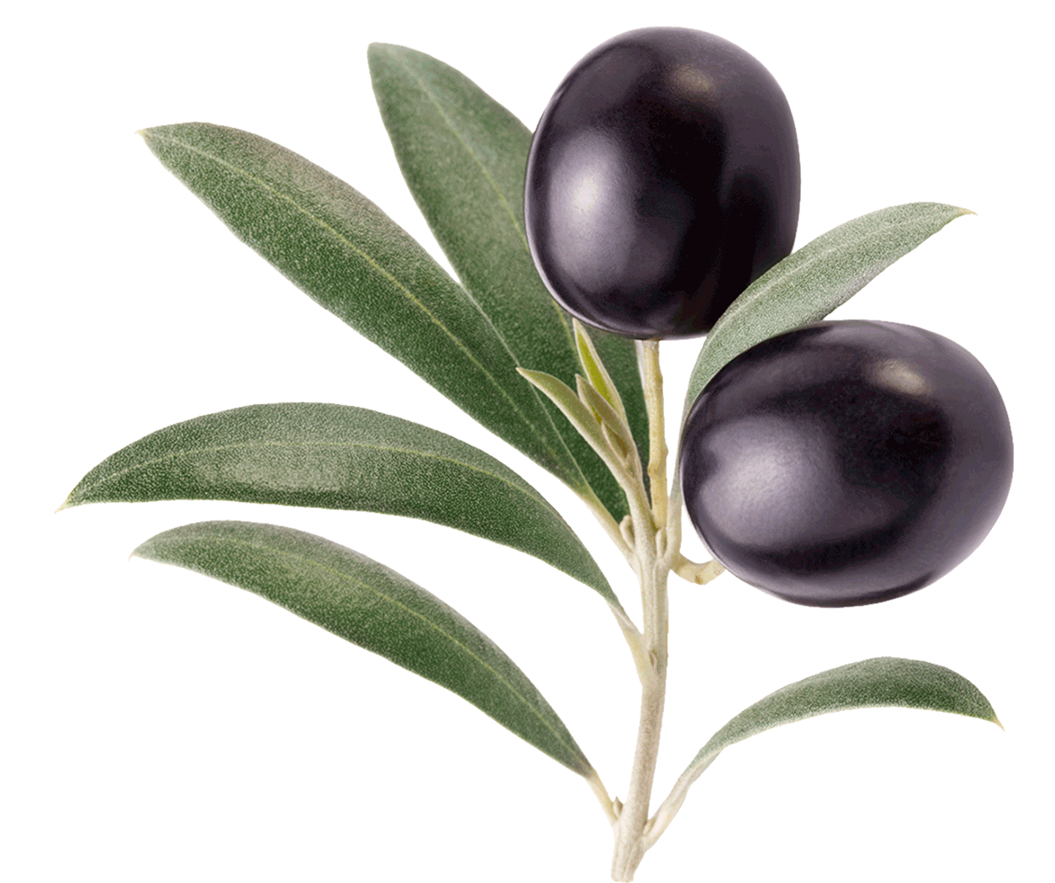 web.olive.gif