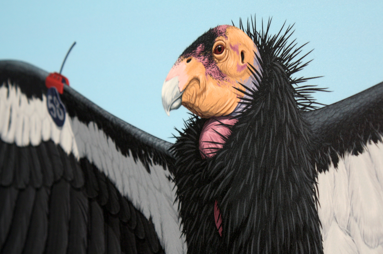 El Condor de California Pasa (detail)