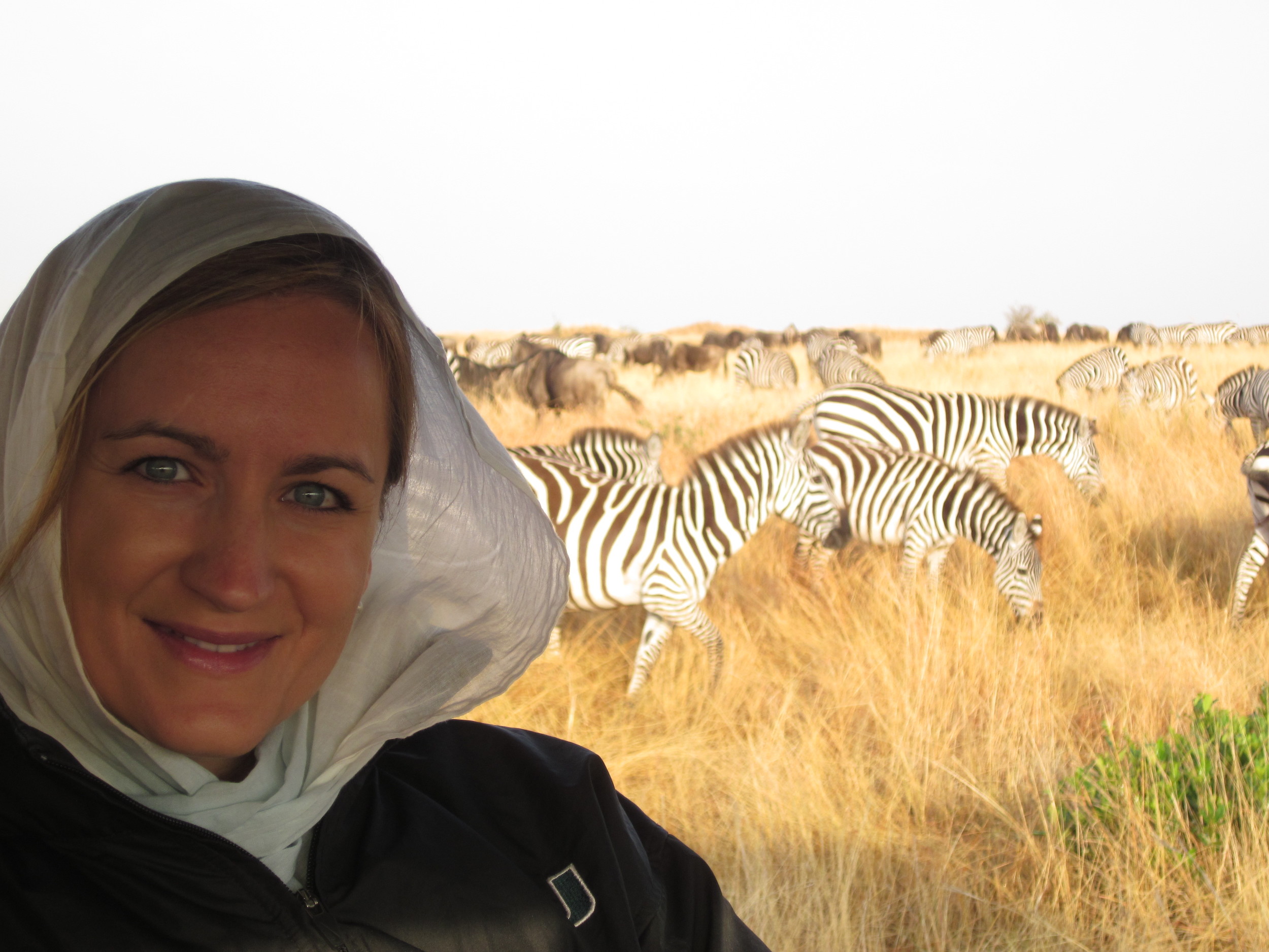 Zebras Masai Mara Safari