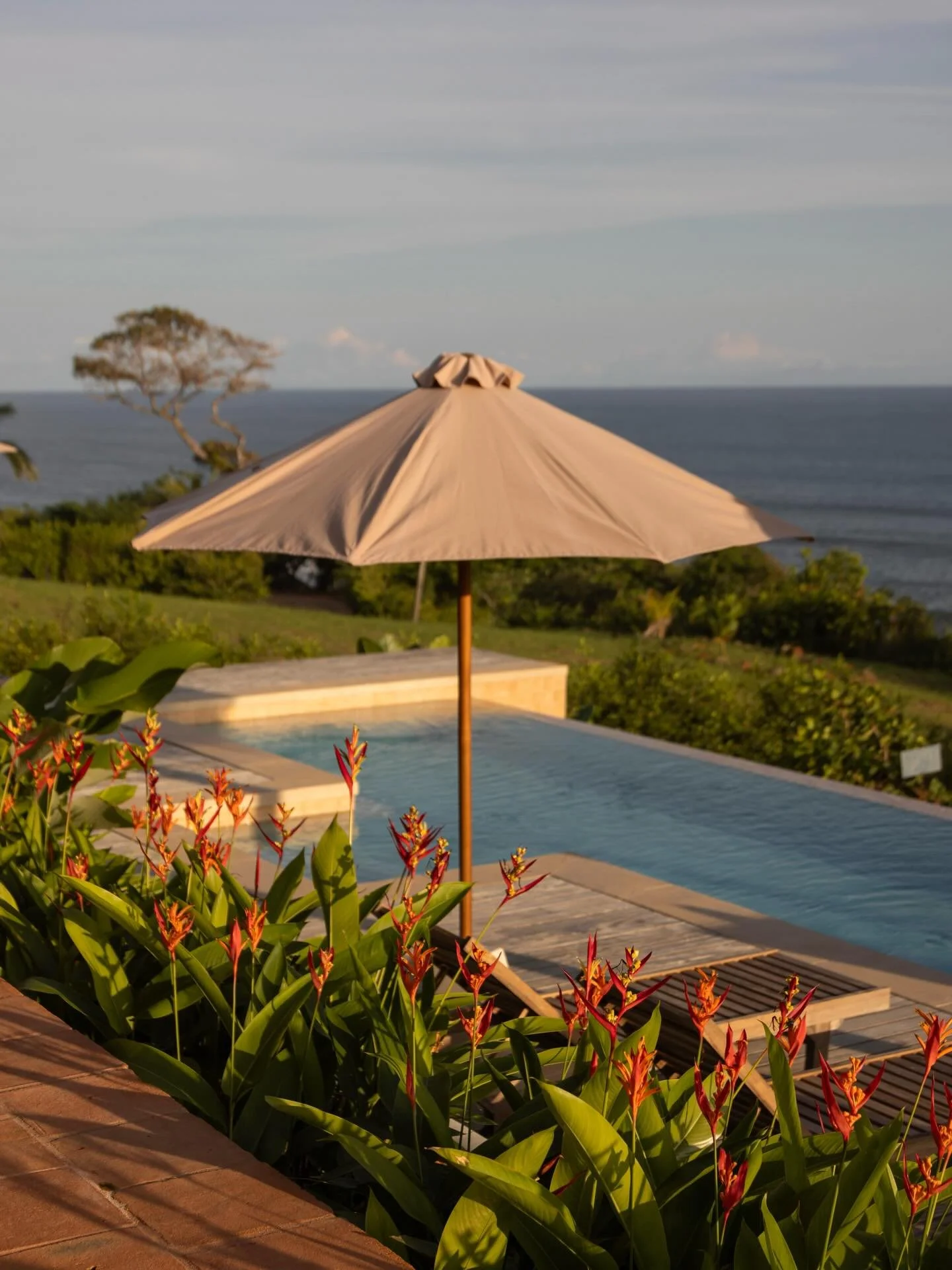 Imagine ending your day with this view. Golden hour settling over the Pacific, the terrace catching the breeze, the whole landscape slowing down&hellip;

Casa Serena was designed for moments like this. A home where calm feels natural and the line bet