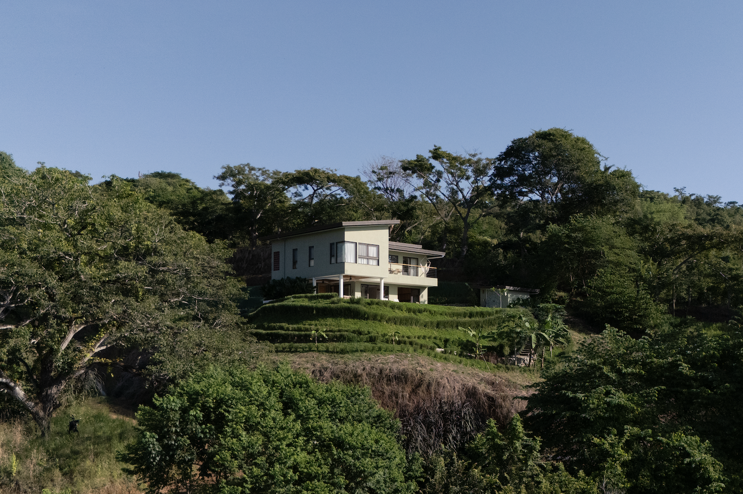 Screenshot 2026-03-19 at 3.31.53 PM.png