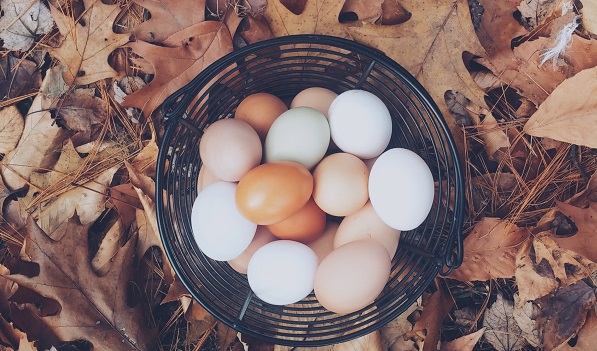 Diversification