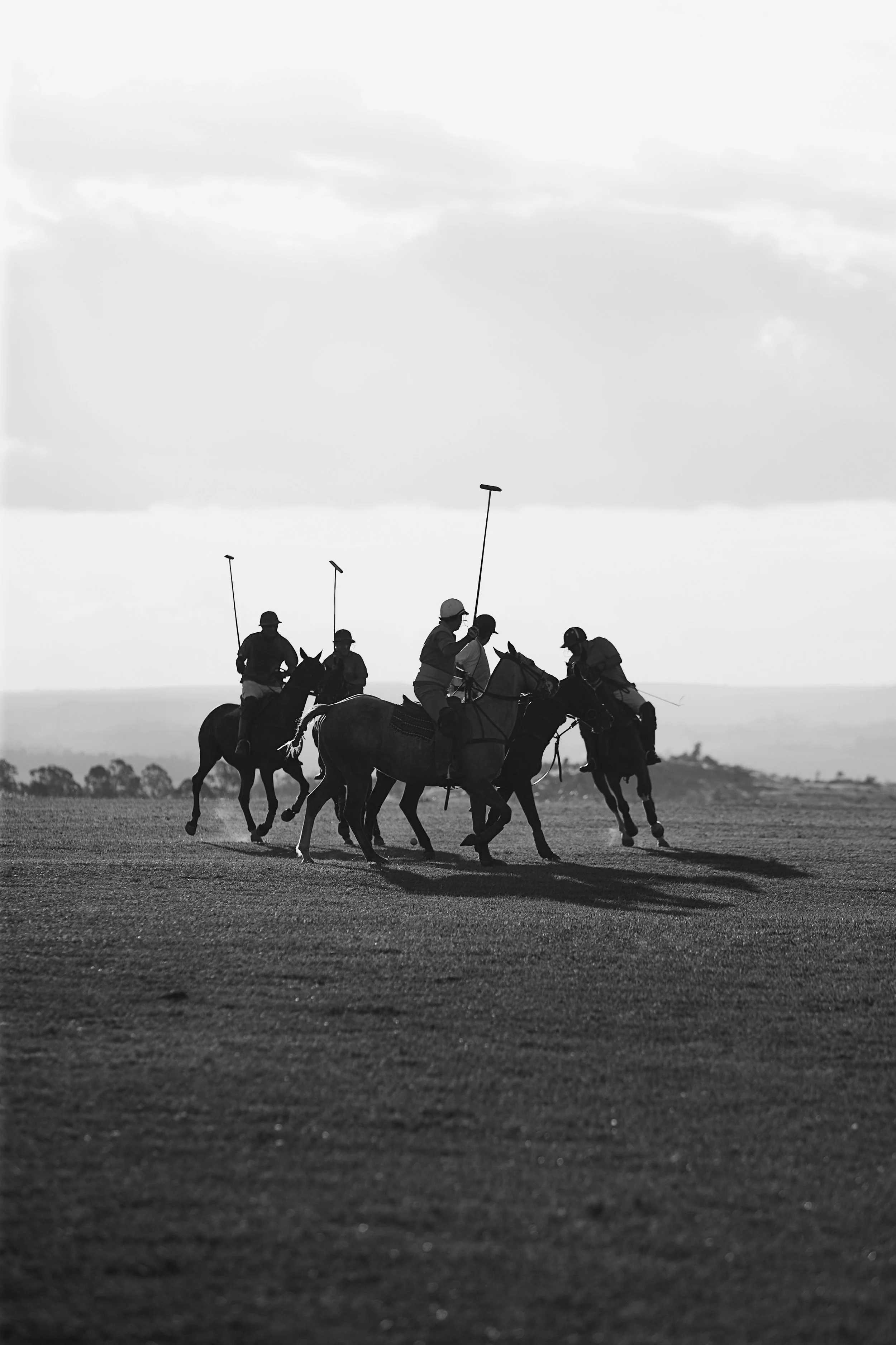 GettyImages-522949308 copy.jpg