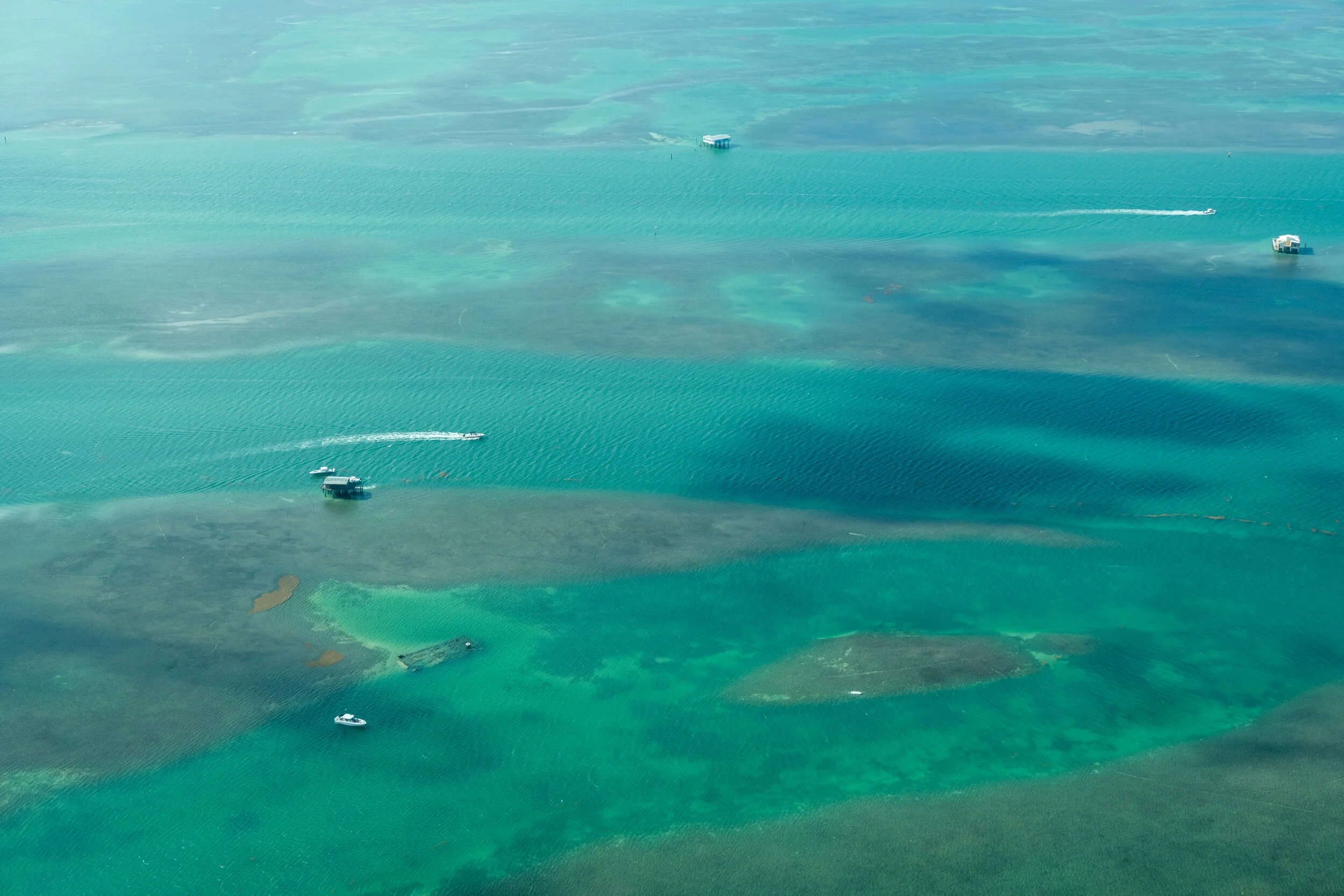 20190519-L1000676.jpg