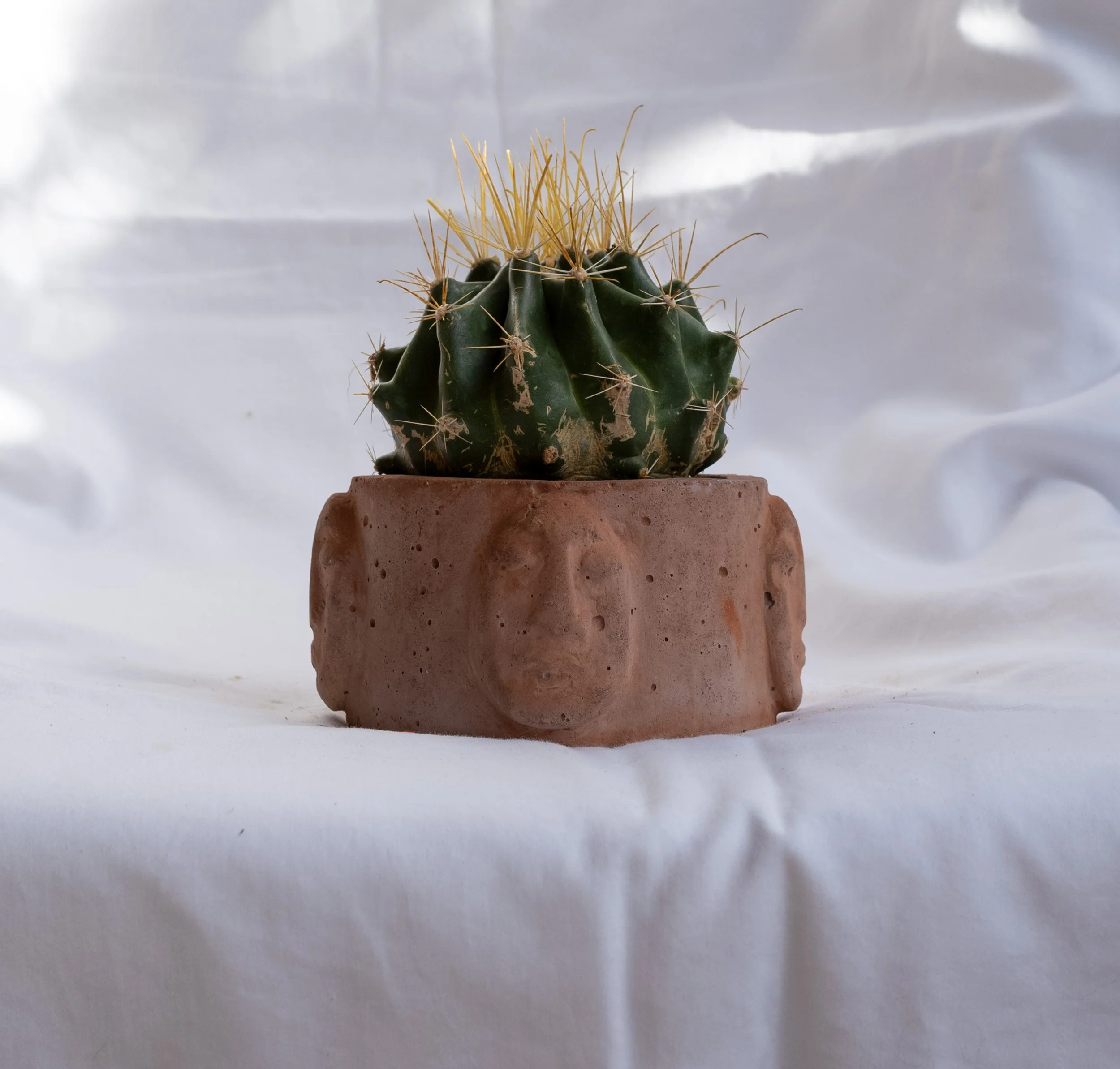 L1000217.jpg