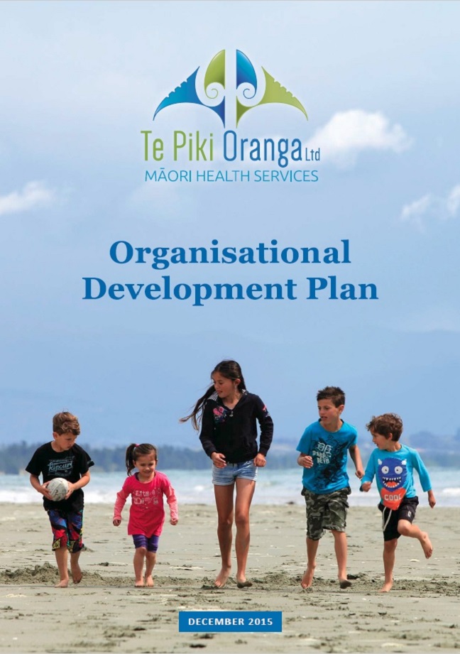 Organisation Development Plan