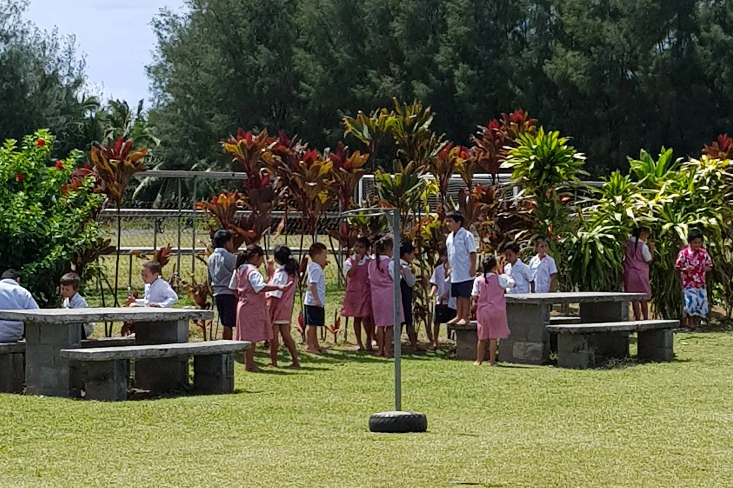 Takitumu Primary School students brushing their teeth as part of their Oral Health Project