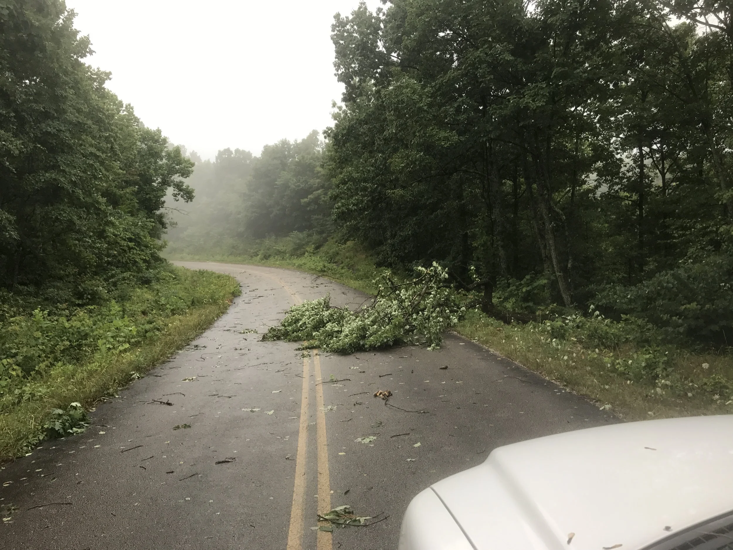 Zilpo Road, Cave Run Lake
