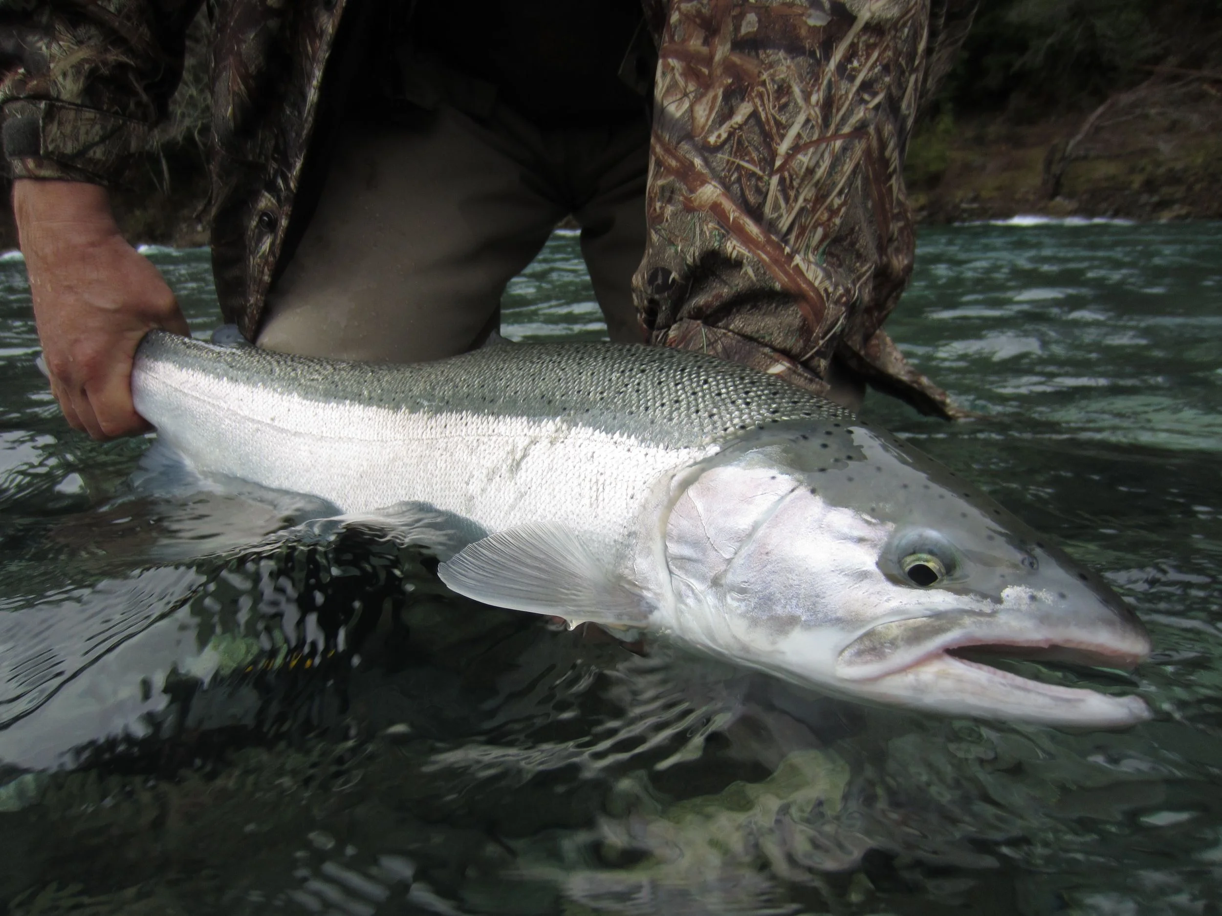 Winter chrome