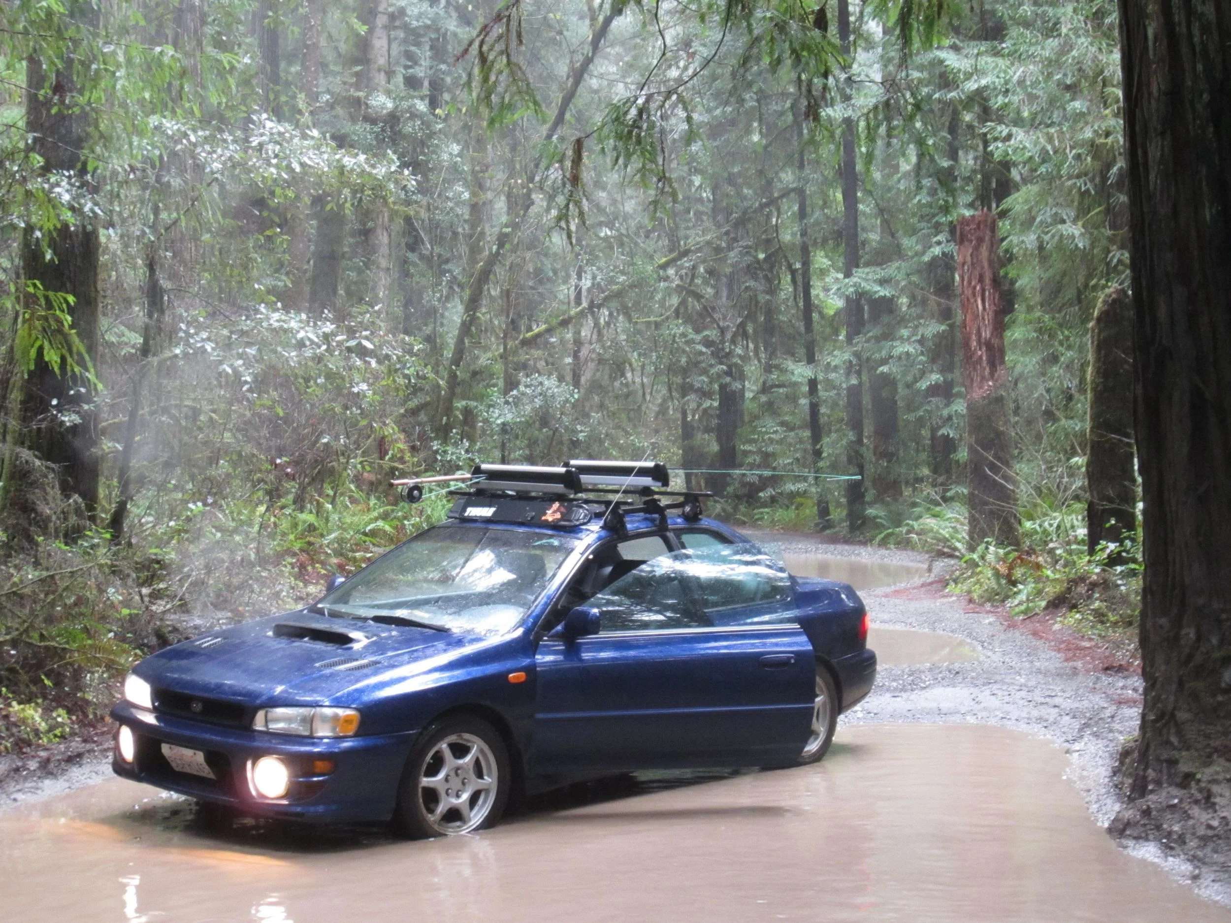 Subie sue
