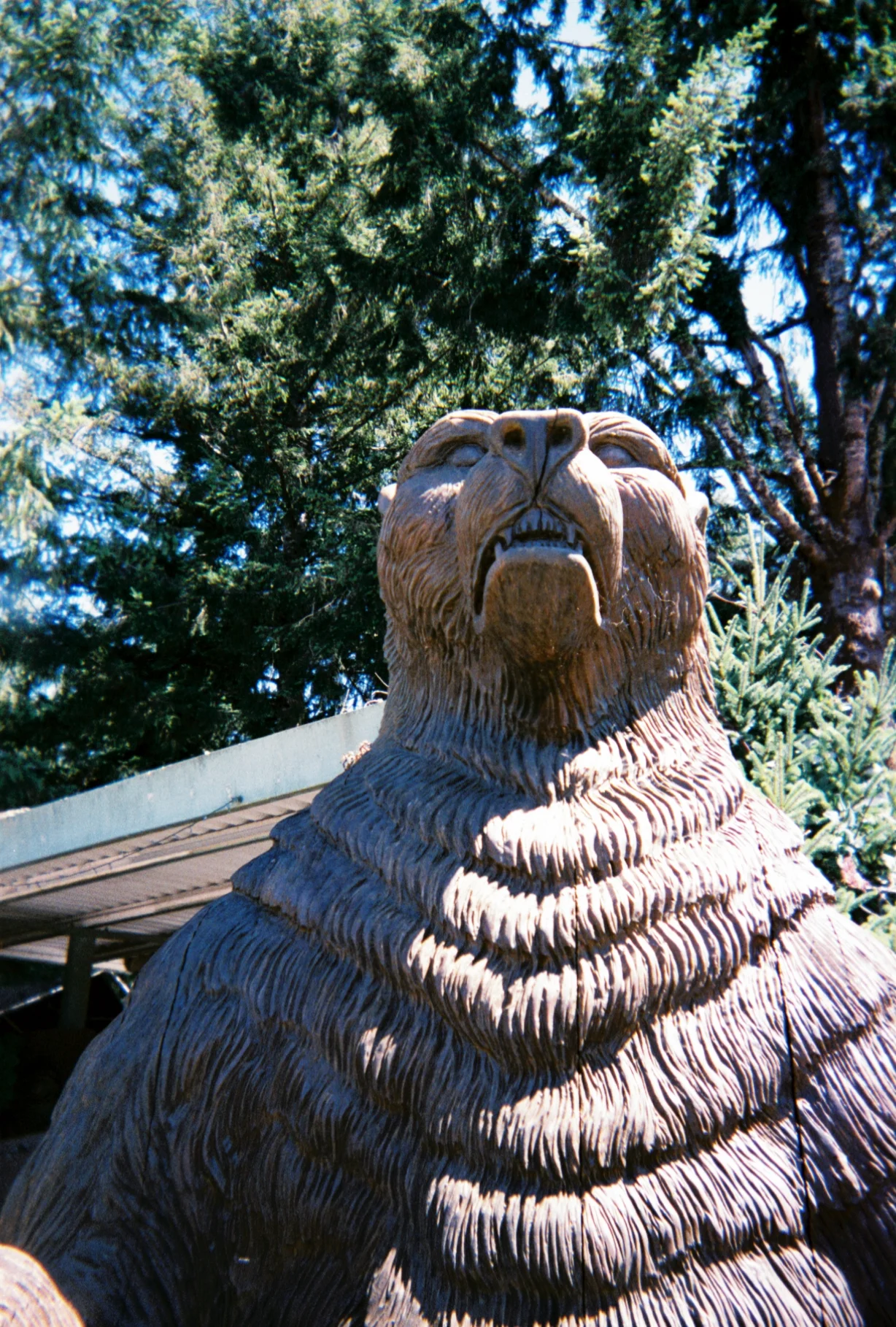 Guardian