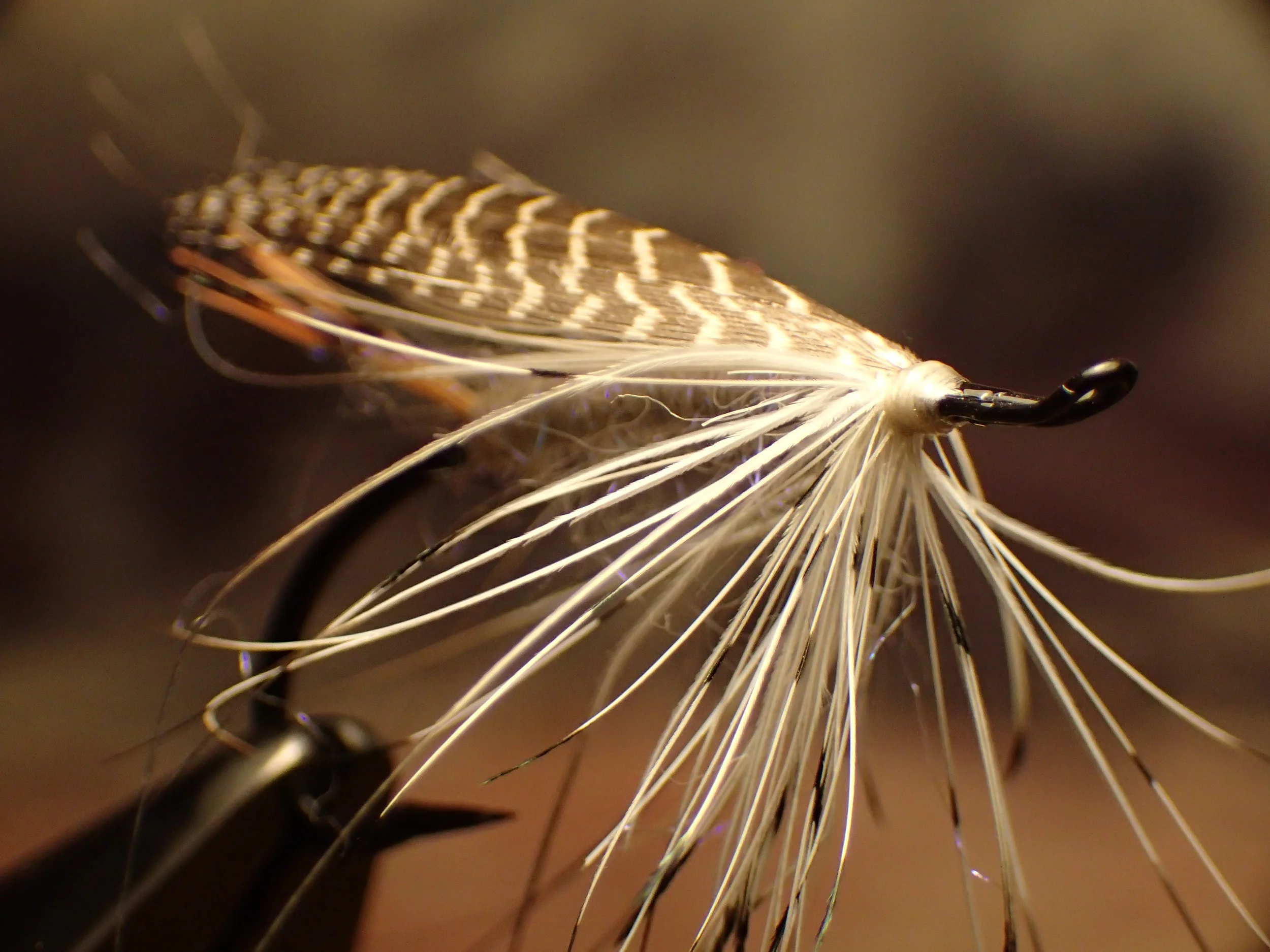 A one off tie utilizing a found Herron hackle picked up on the river. Tied on a Alec Jackson size 3 iron. 