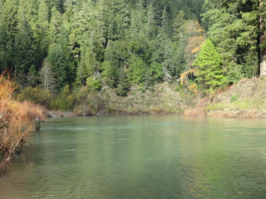 The Sage X 8120 getting a workout on the Eel River.
