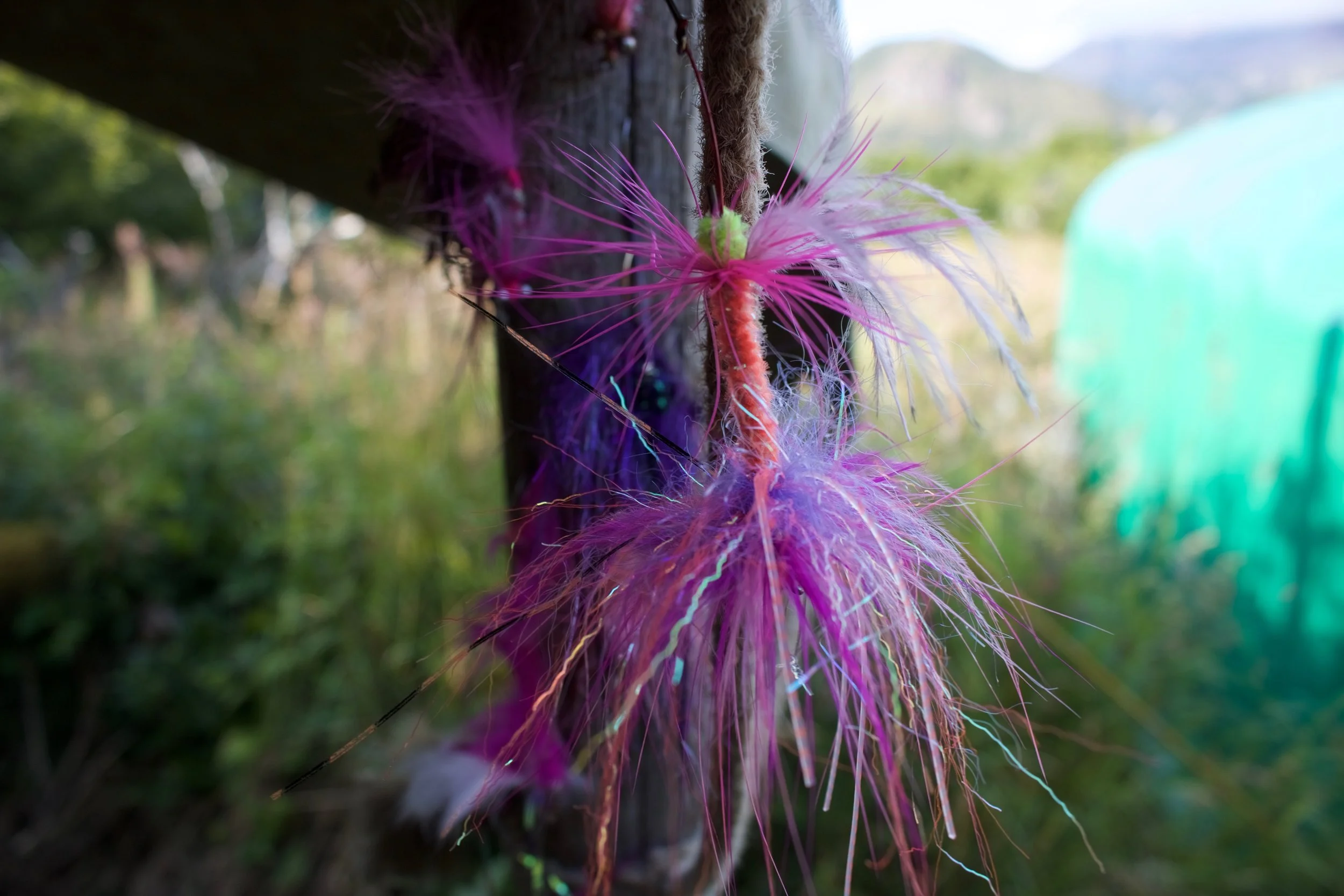Retired flies hanging outside of our tent. 