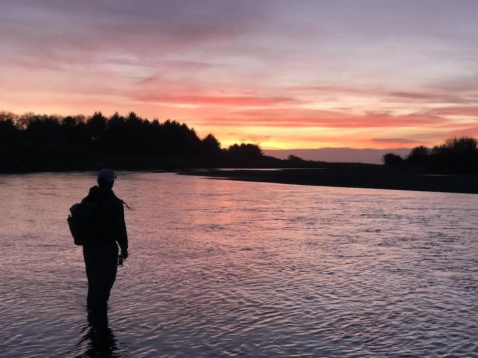Days end on the eternal Redwood Coast.