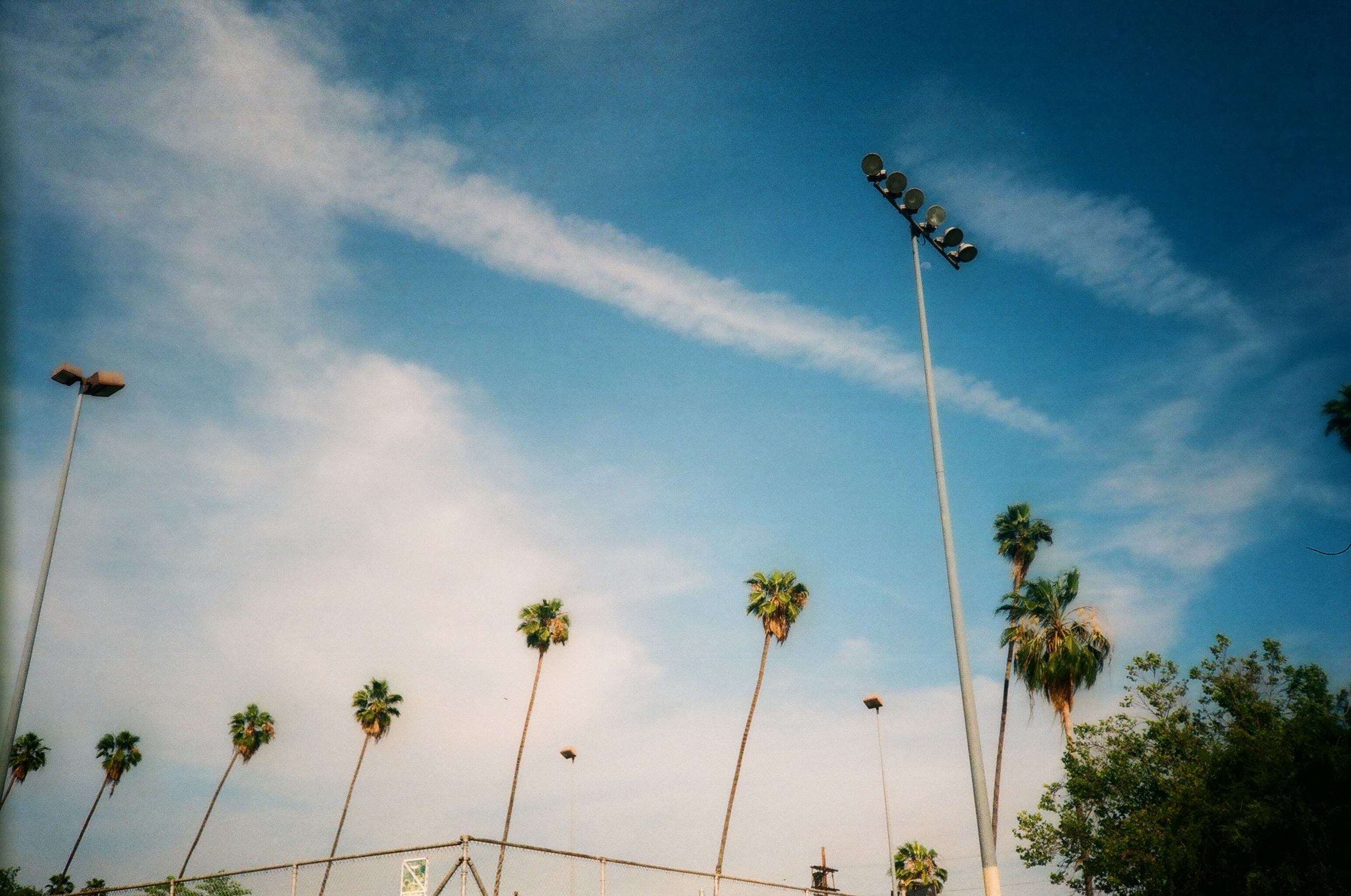 Photo by Anthony