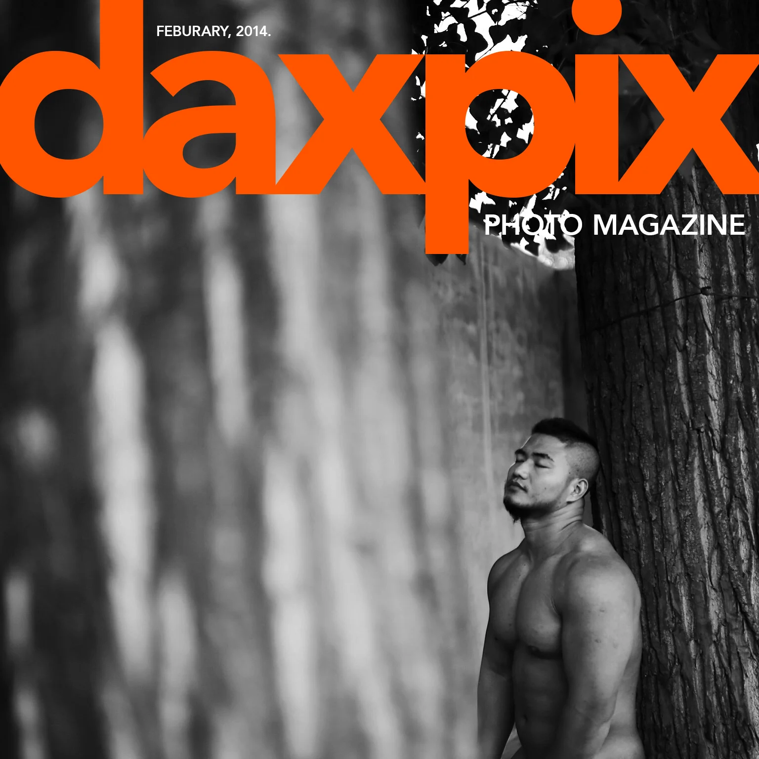 cover2.jpg