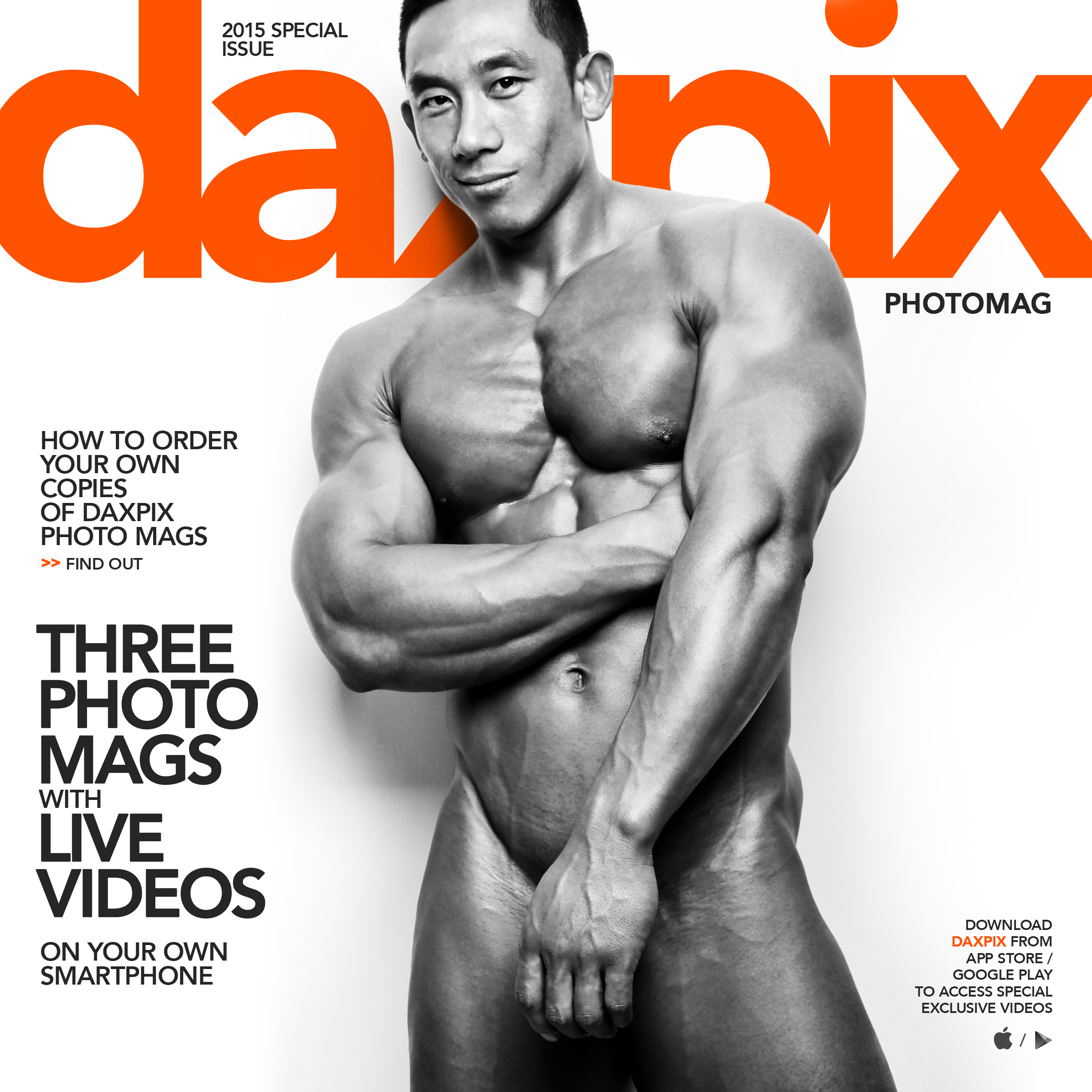 daxpix Special Issue, 2015