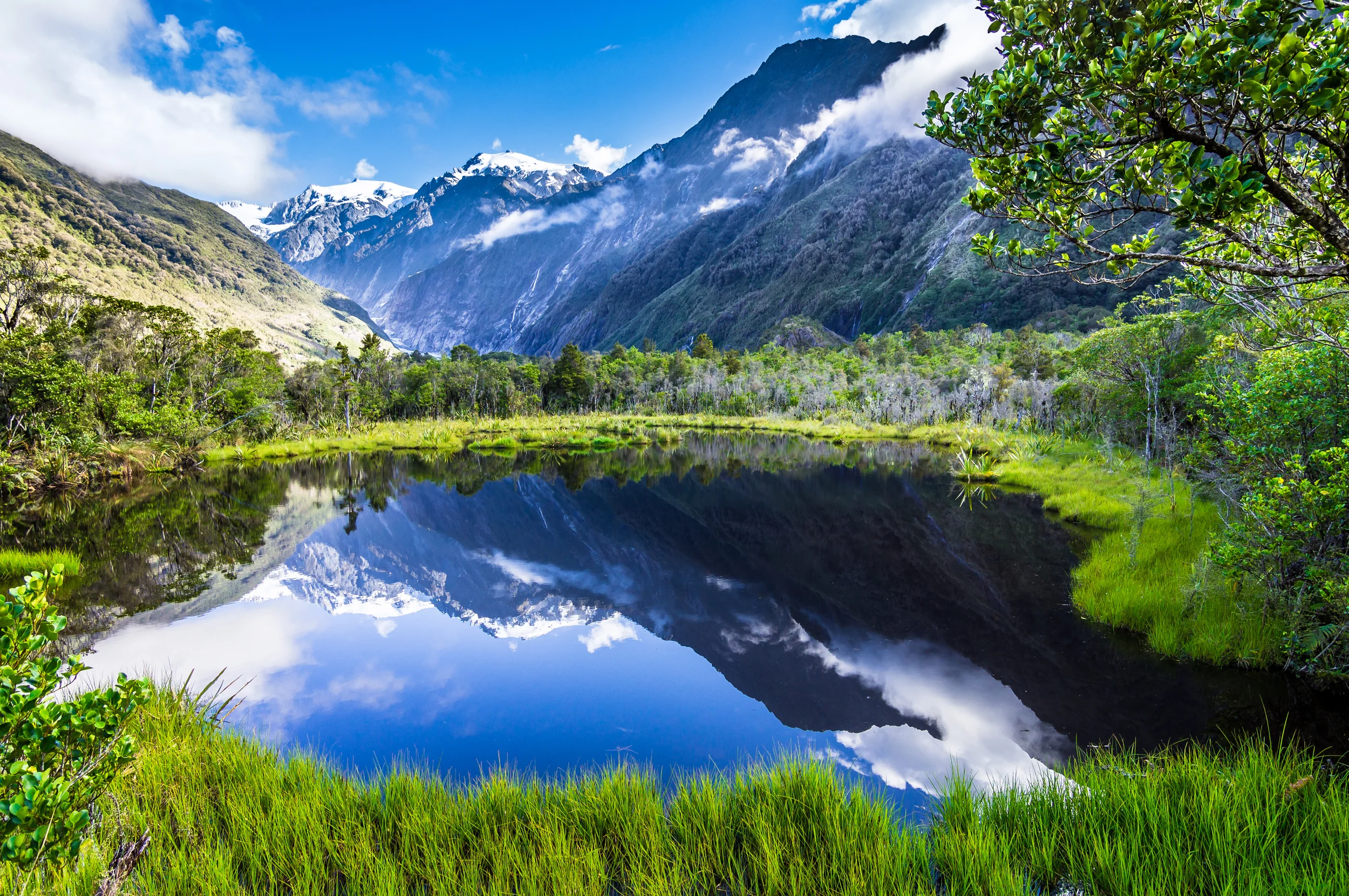 iStock_34445130_XLARGE.jpg