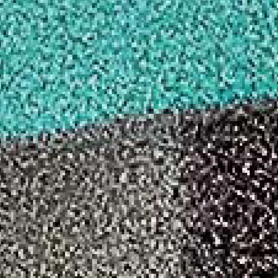 Scale #2 detail