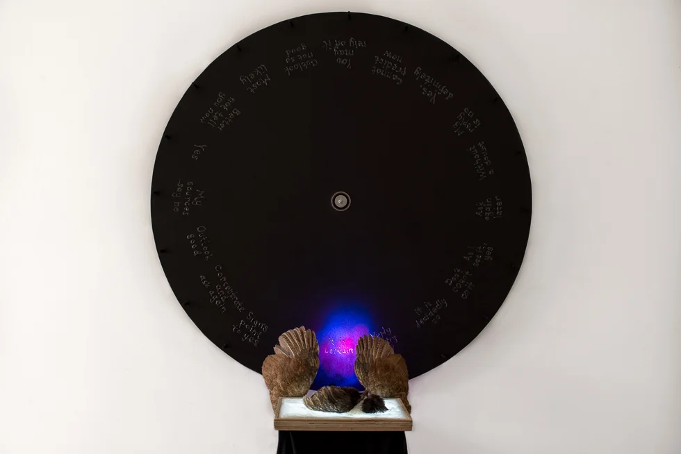 I Want My Pet’s Death to Mean Something, 2018 Installation view