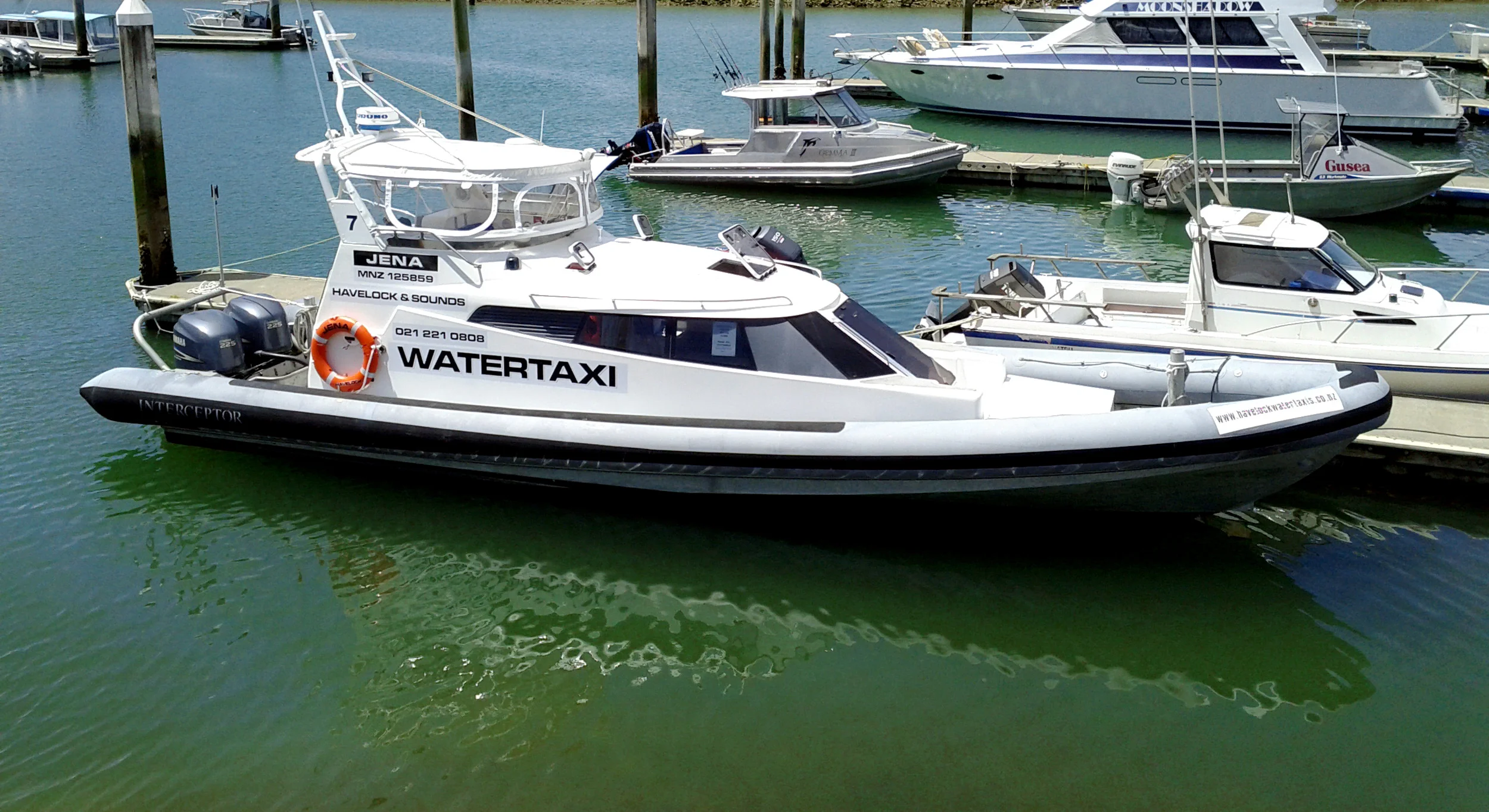 Jena Del Carrodus Havelock Dec 2011.jpg