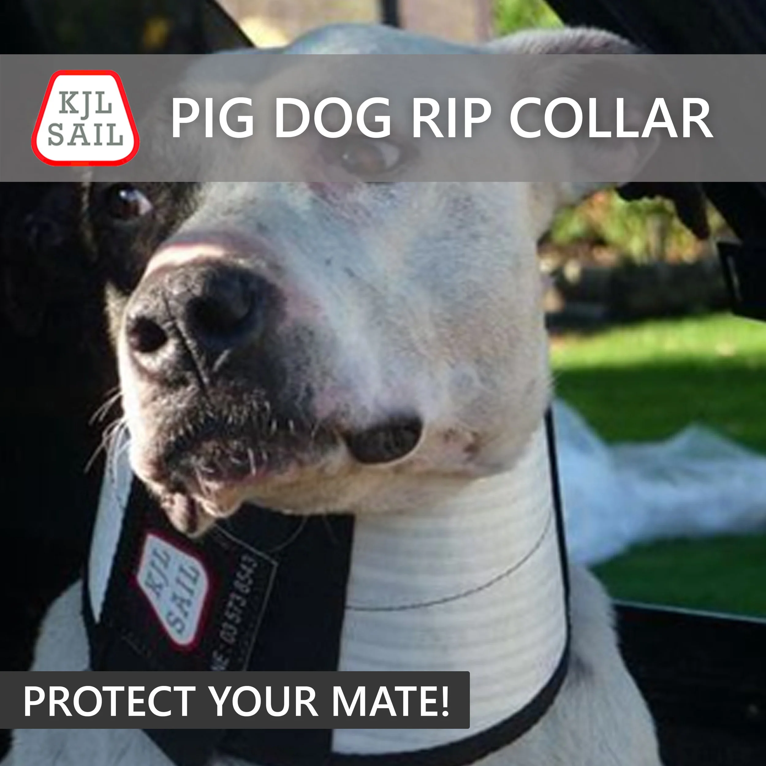 CONICAL collar hero image.jpg