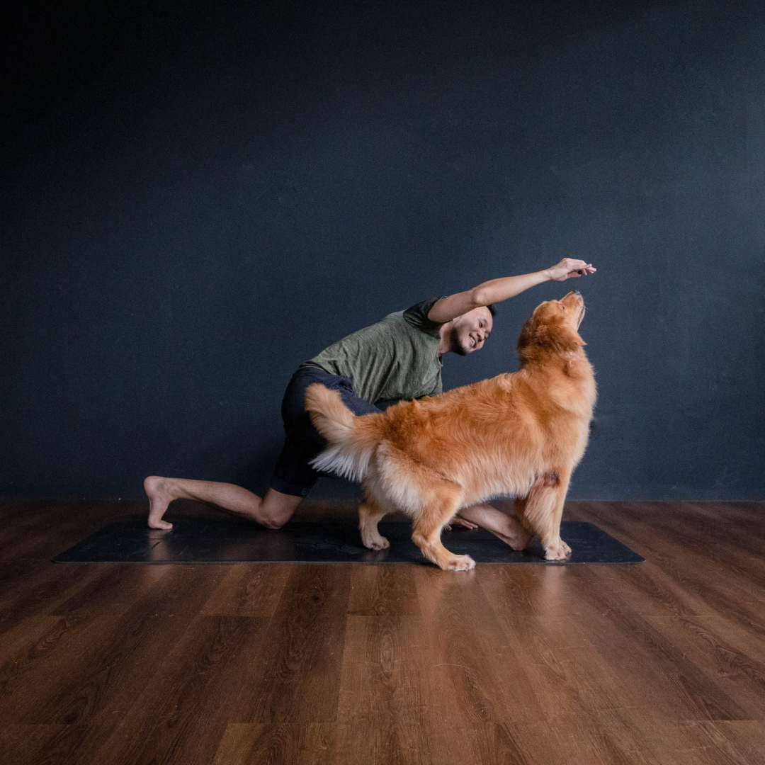 PAWS & PLAY (DOG YOGA)