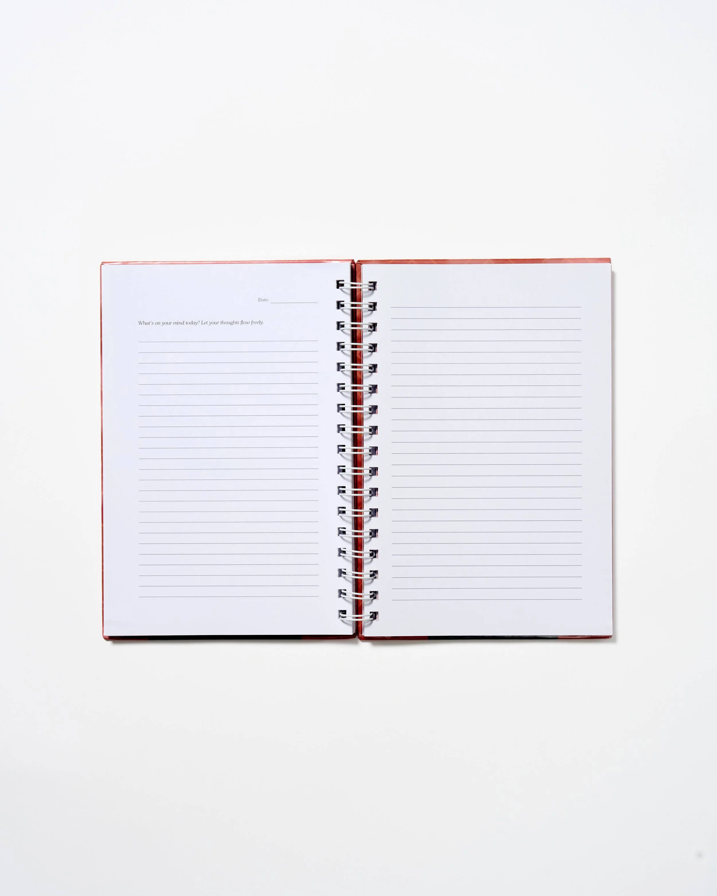 2025_1219_BP_Pickups for Raven3342.jpg