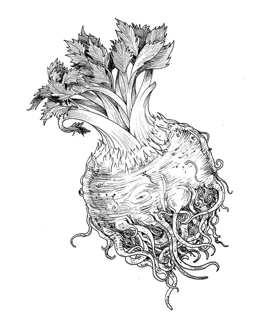 Celery Root