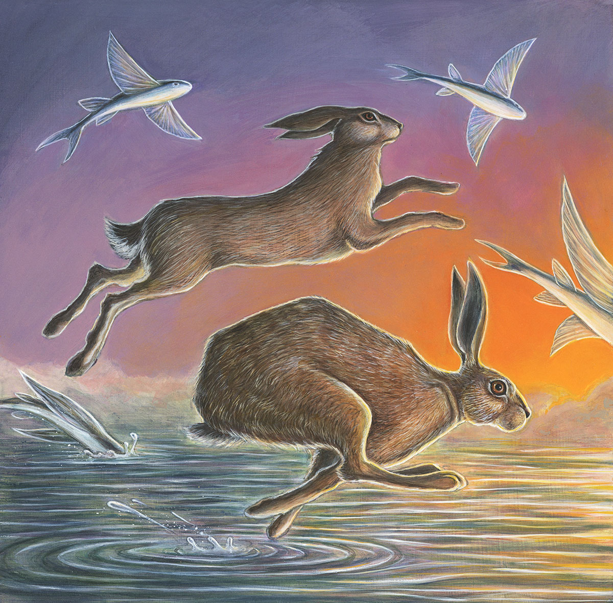 Flight