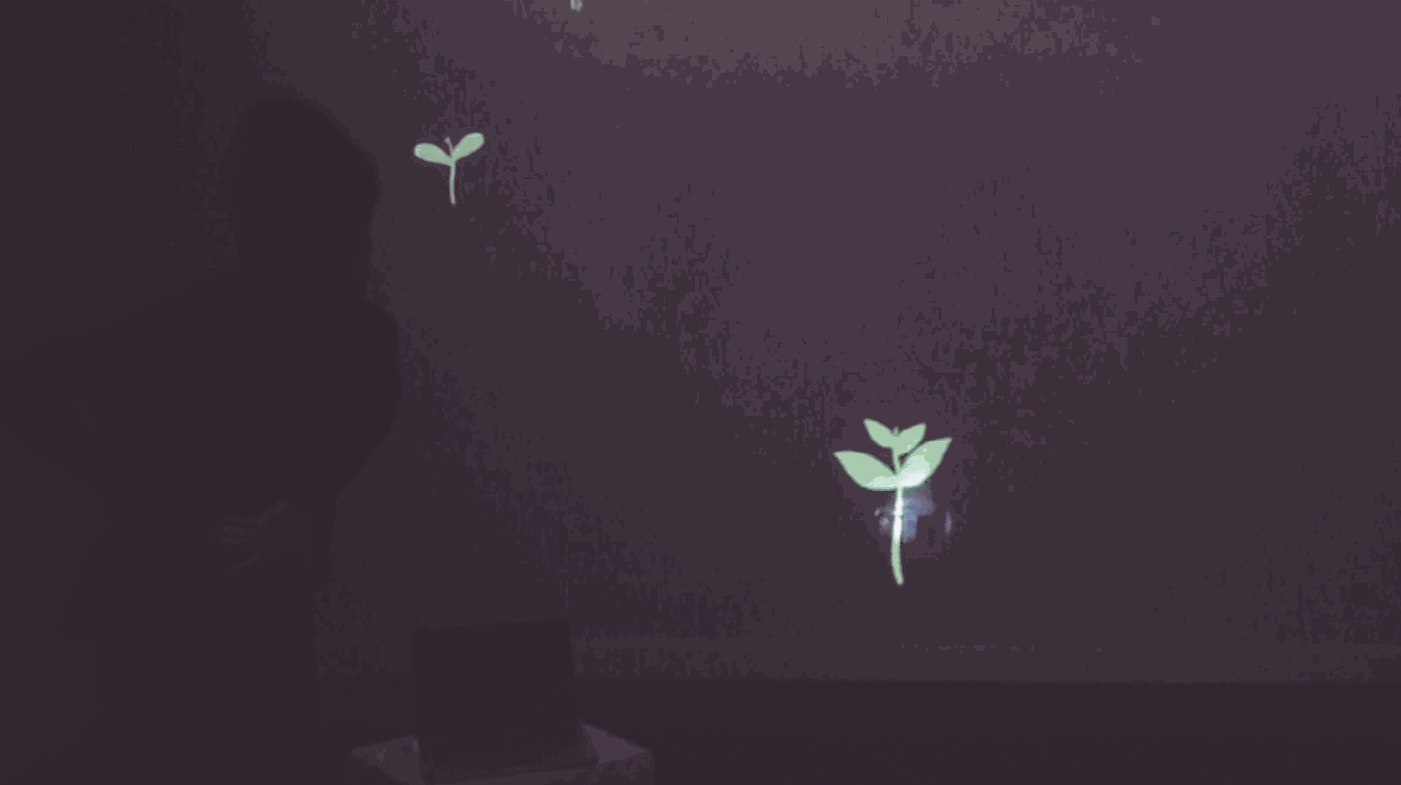 protorype_grow.gif
