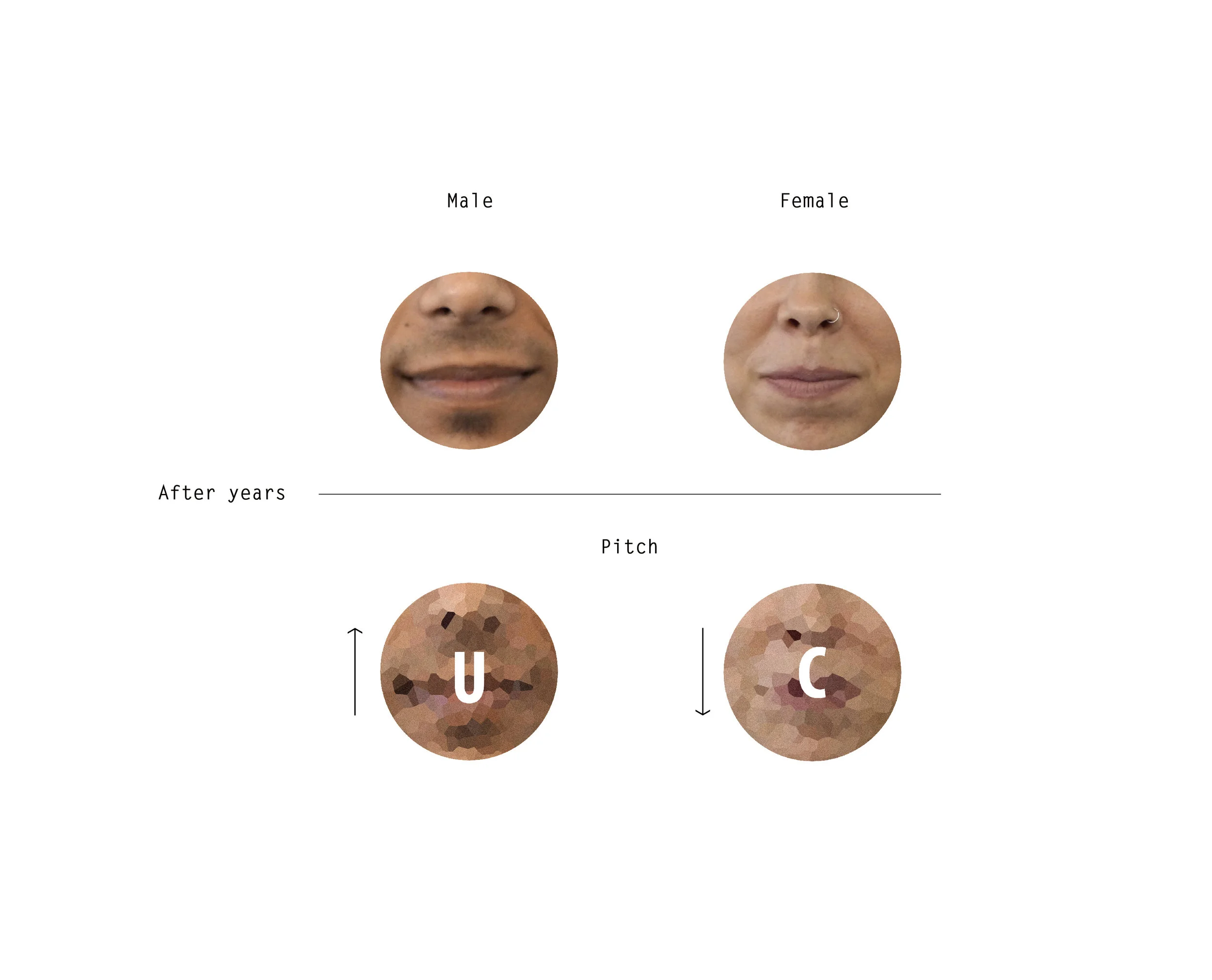 User research The voices will change as time goes by because the muscles and the connective tissue in vocal folds will degenerate with age. Female example: Current voice. Future voice. Male example: Current voice. Future voice.