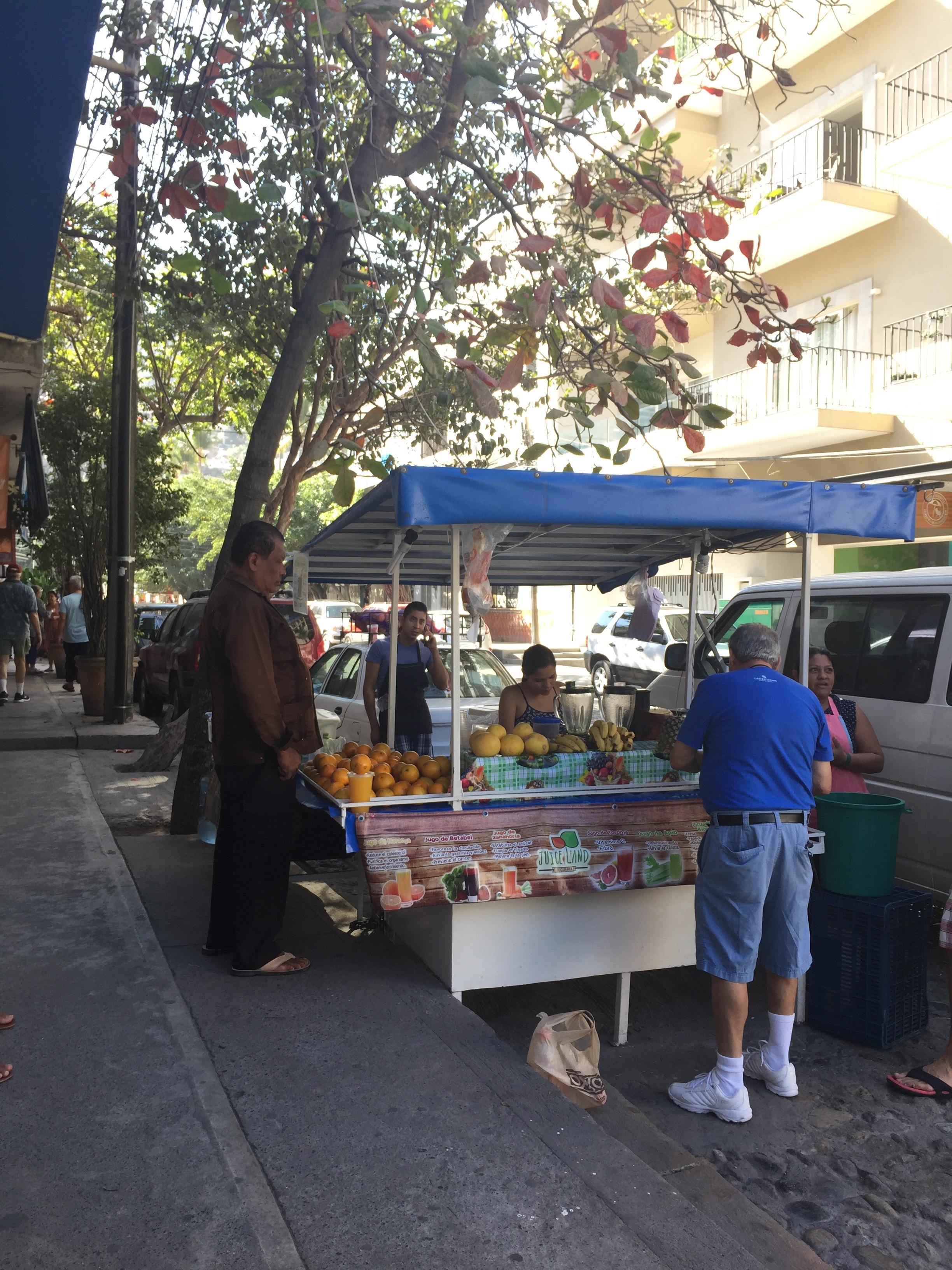 Vegan Eats in Puerto Vallarta, Sayulita, and San Pancho (+ A Few