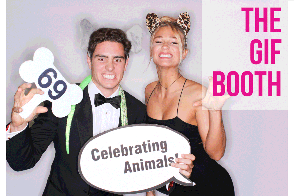 gif-booth.gif