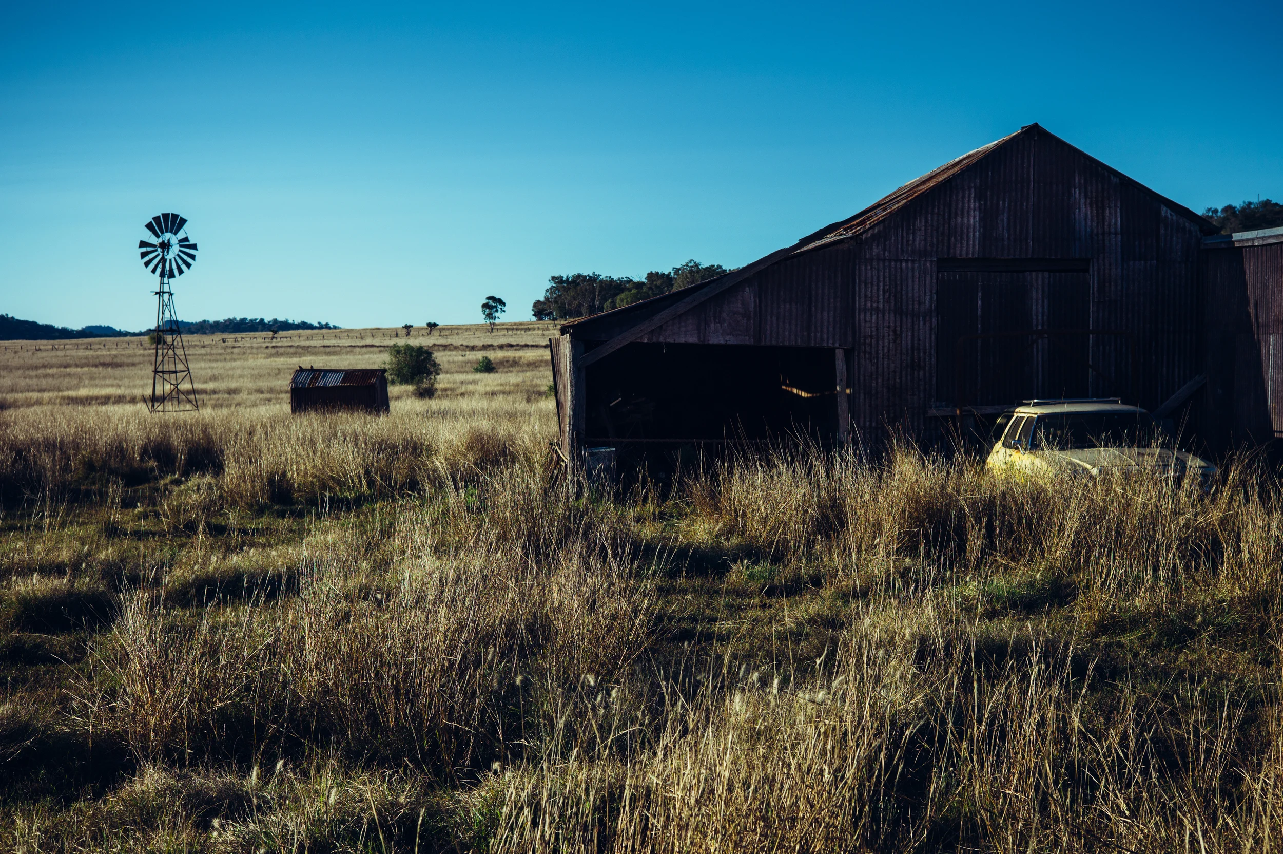 Forgotten Kingswood