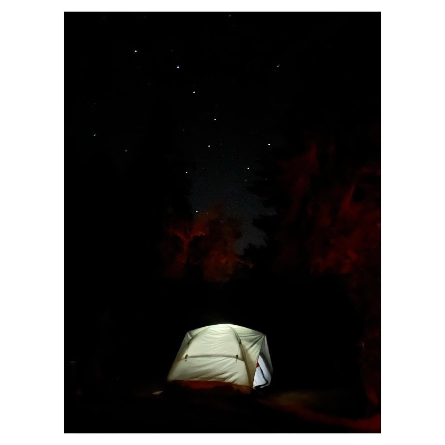 Summer 22. 
🌼
It was 10x less camping than usual and 10x more visits to the emergency vet (You&rsquo;re worth it Bertie! We love you too much!), but we still managed to check all the important boxes. Time outside, time with friends, time with family