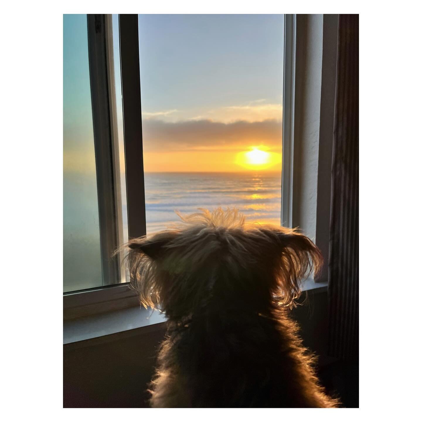 Some moments I loved from a very weird year. Wishing you all a peaceful and abundant 2024. ✌️