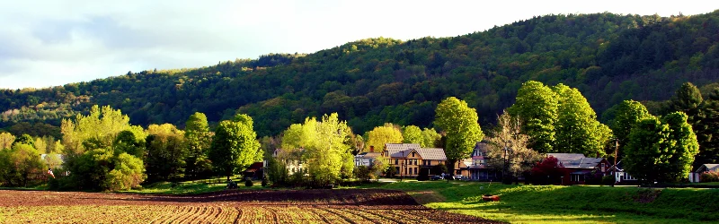 Spring_Field_in_Bethel,_Vermont.jpg